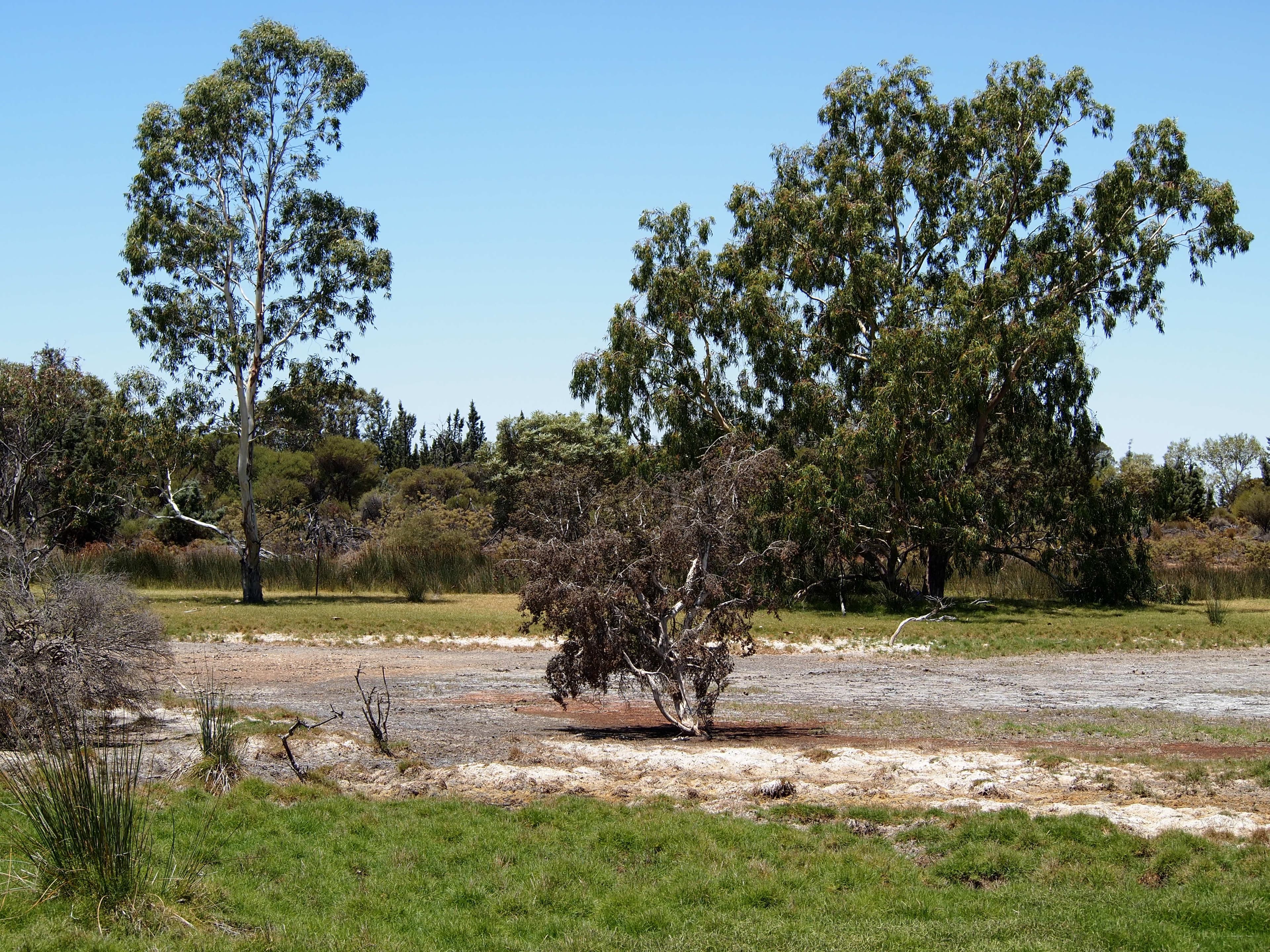 500 Dalwallinu West Road, Dalwallinu WA 6609, Dalwallinu - Thumbnail 5