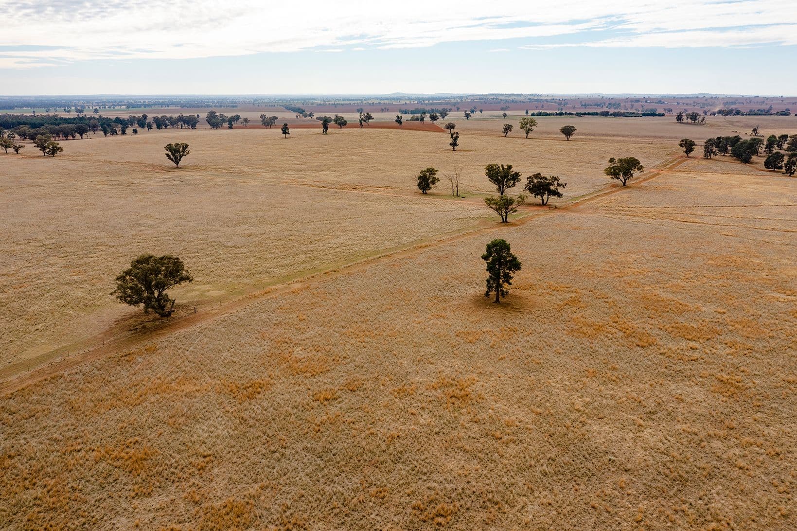 O'briens Coolamon Road, Coolamon NSW 2701, Coolamon - Thumbnail 3