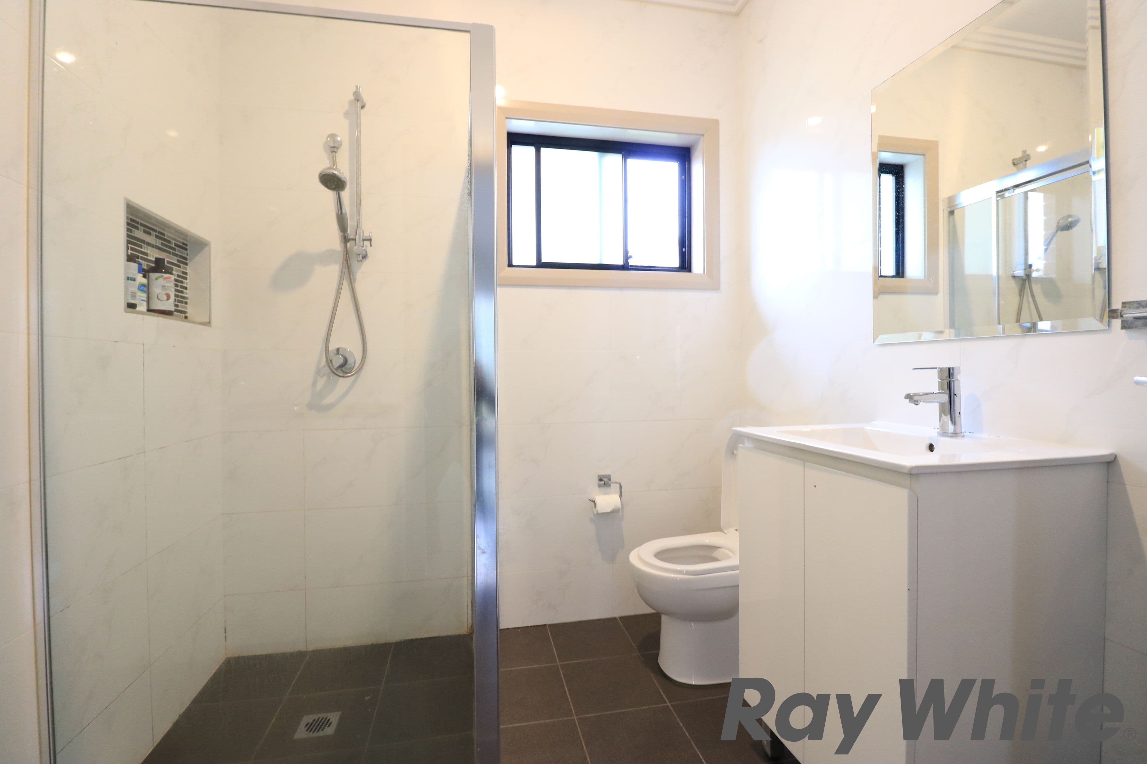 55 Hydrae Street, Revesby NSW 2212, Revesby - Thumbnail 5