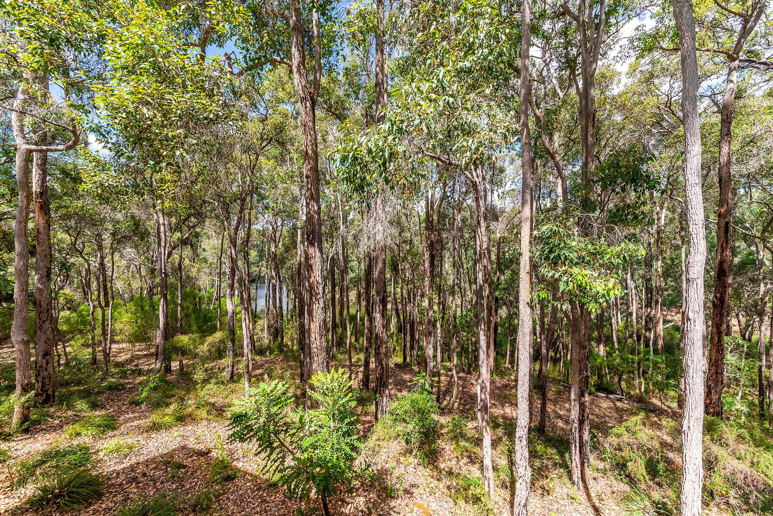 Nannup WA 6275, Nannup - Thumbnail 4