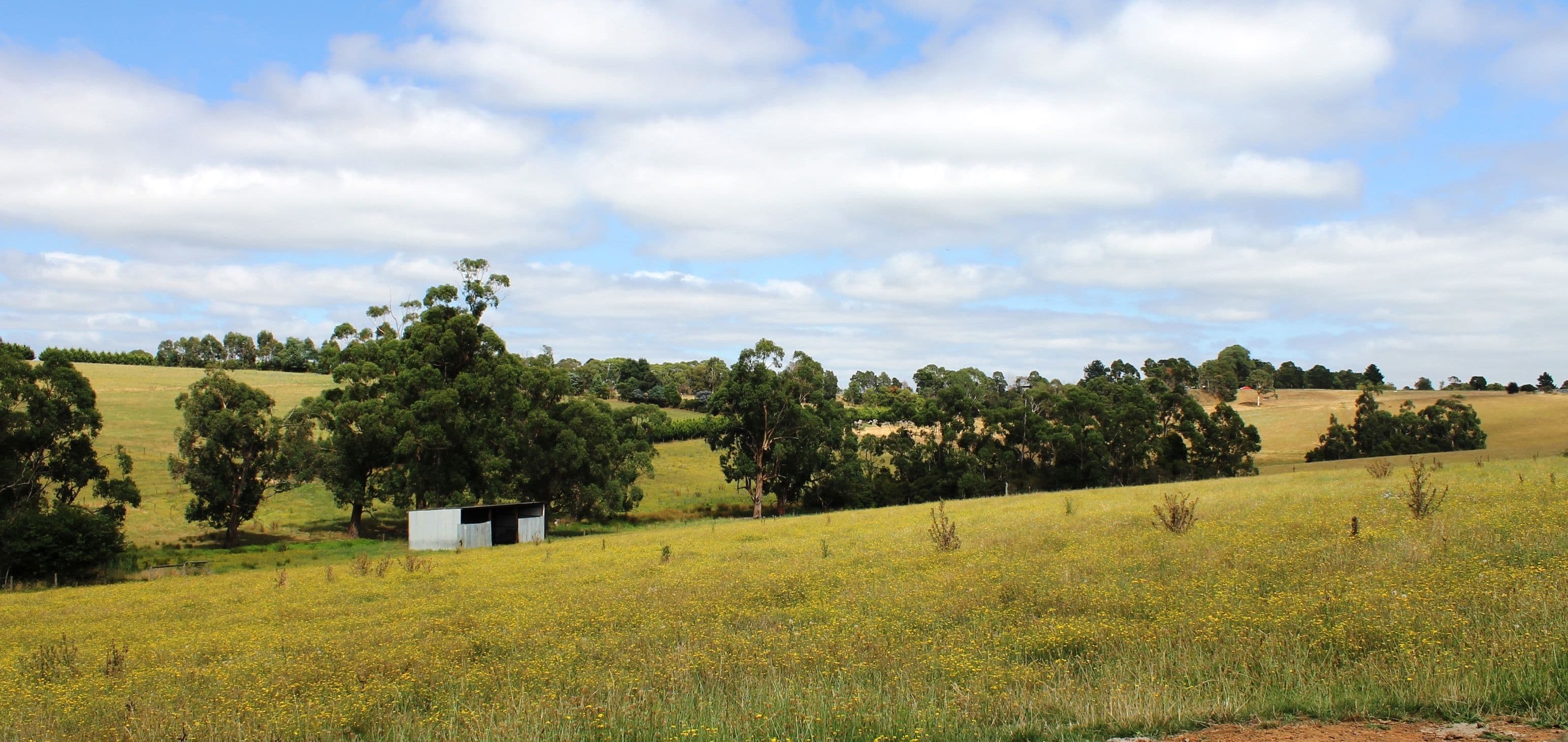 Drouin VIC 3818, Drouin - Thumbnail 4