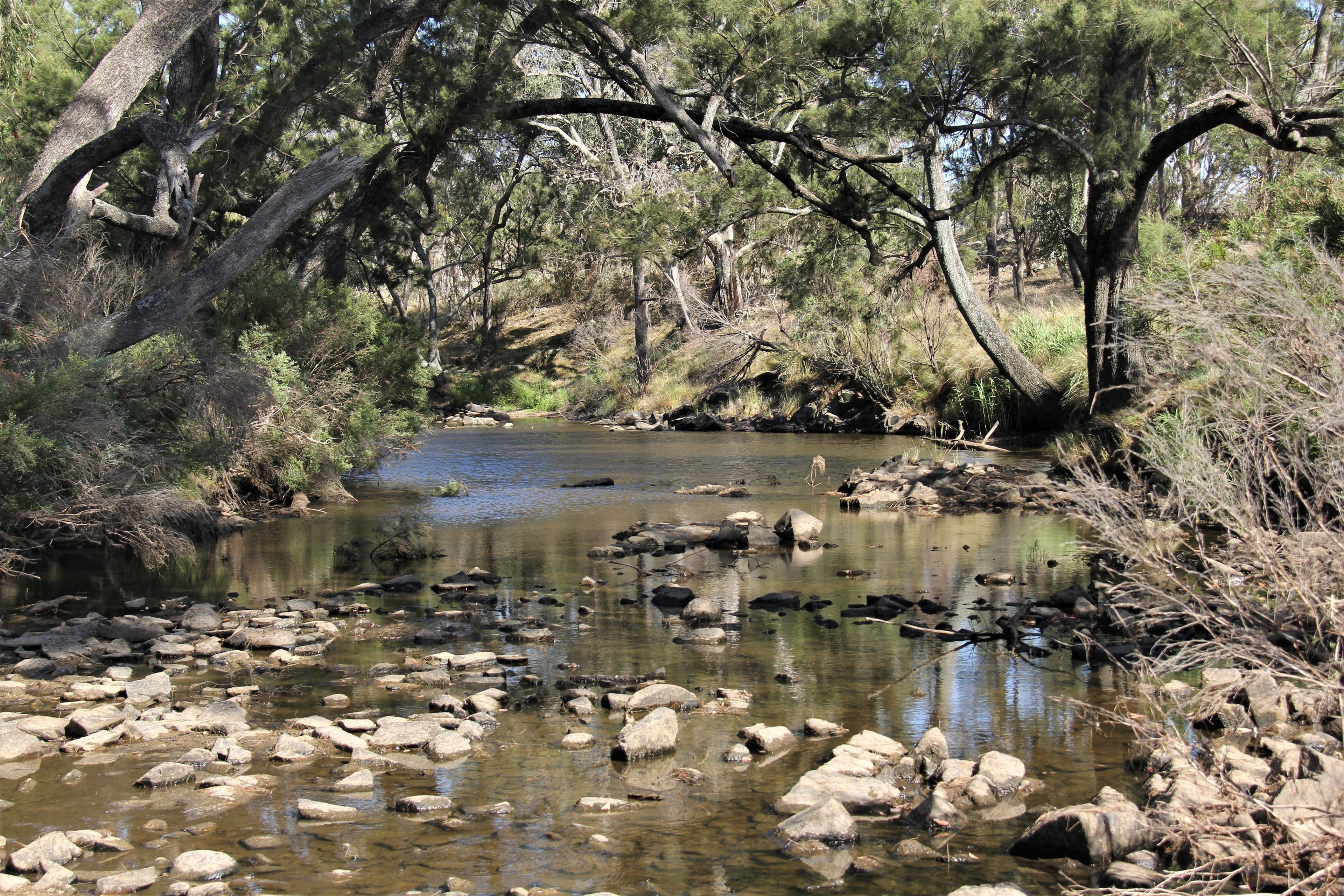 77 Tarban Loop Road, Tenterfield NSW 2372, Tenterfield - Thumbnail 4