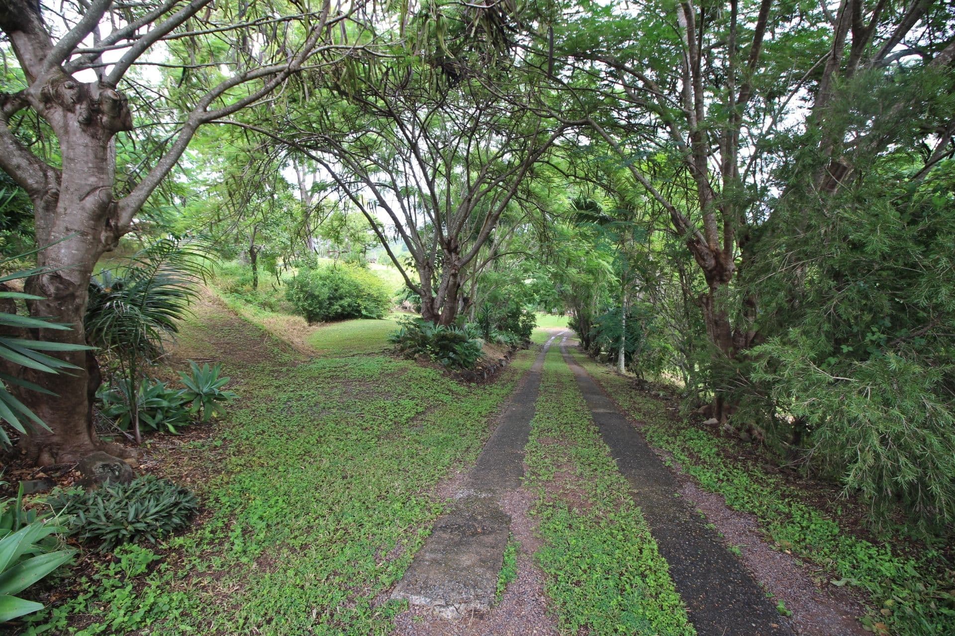 34 Grieshaber Drive, Sarina QLD 4737, Sarina - Thumbnail 2