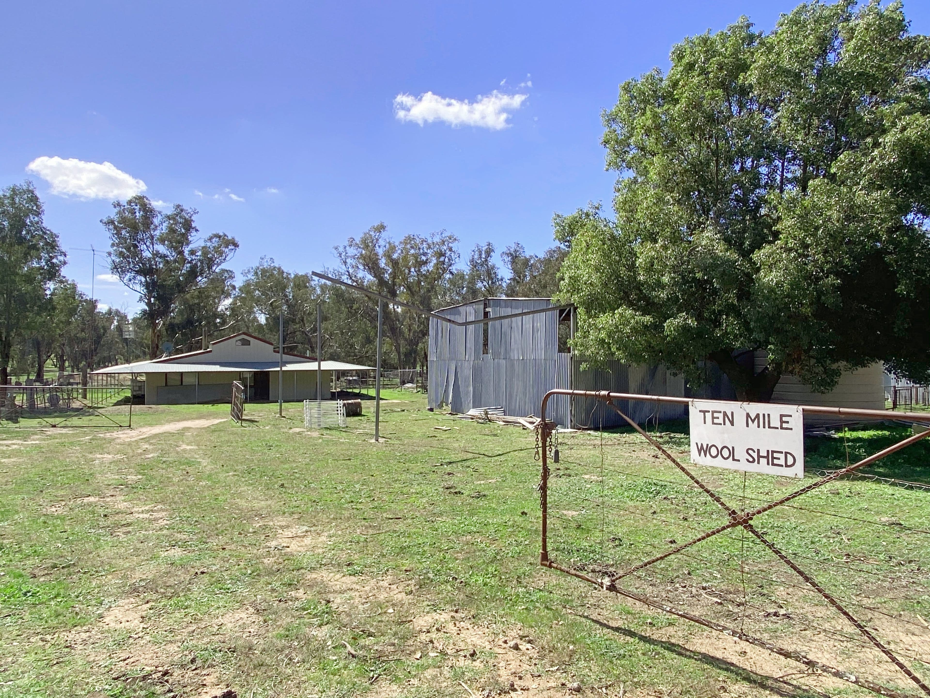 51 Sads Lane, Young NSW 2594, Young - Thumbnail 8