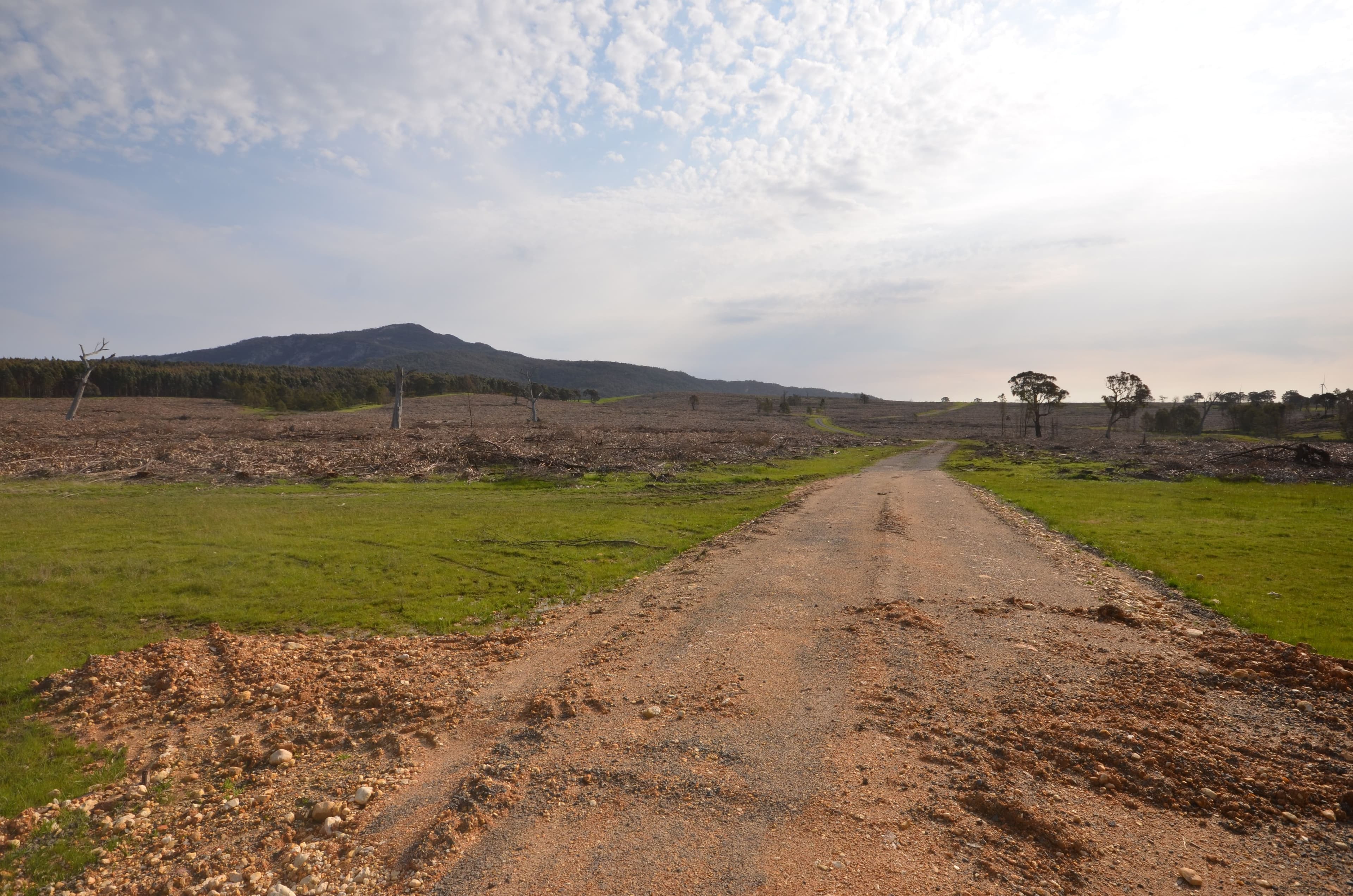 Pilgrim South Buangor - Ben Nevis Road, WARRAK VIC 3377, Warrak - Thumbnail 5
