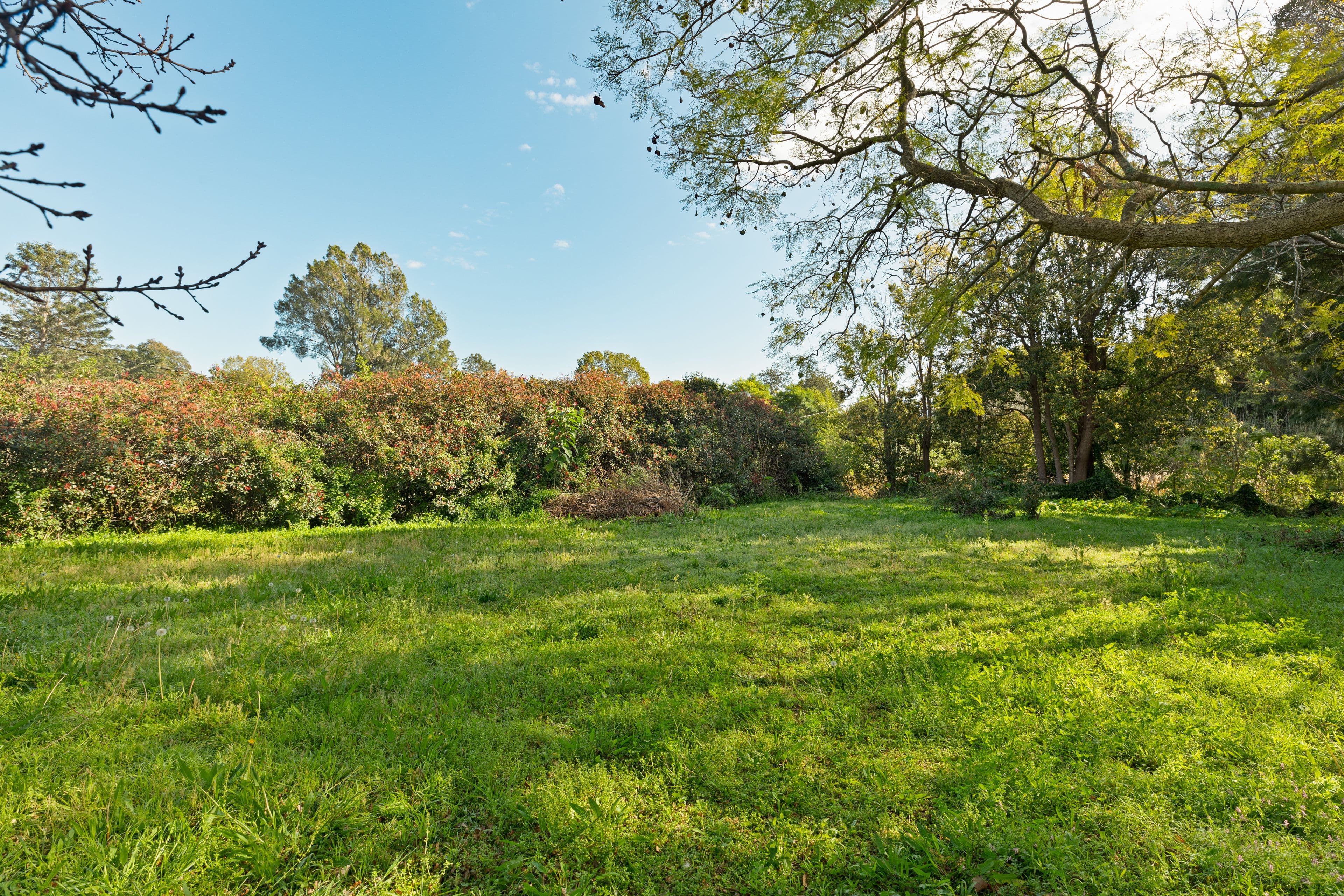 27 Hyam Street, Nowra NSW 2541, Nowra - Thumbnail 5