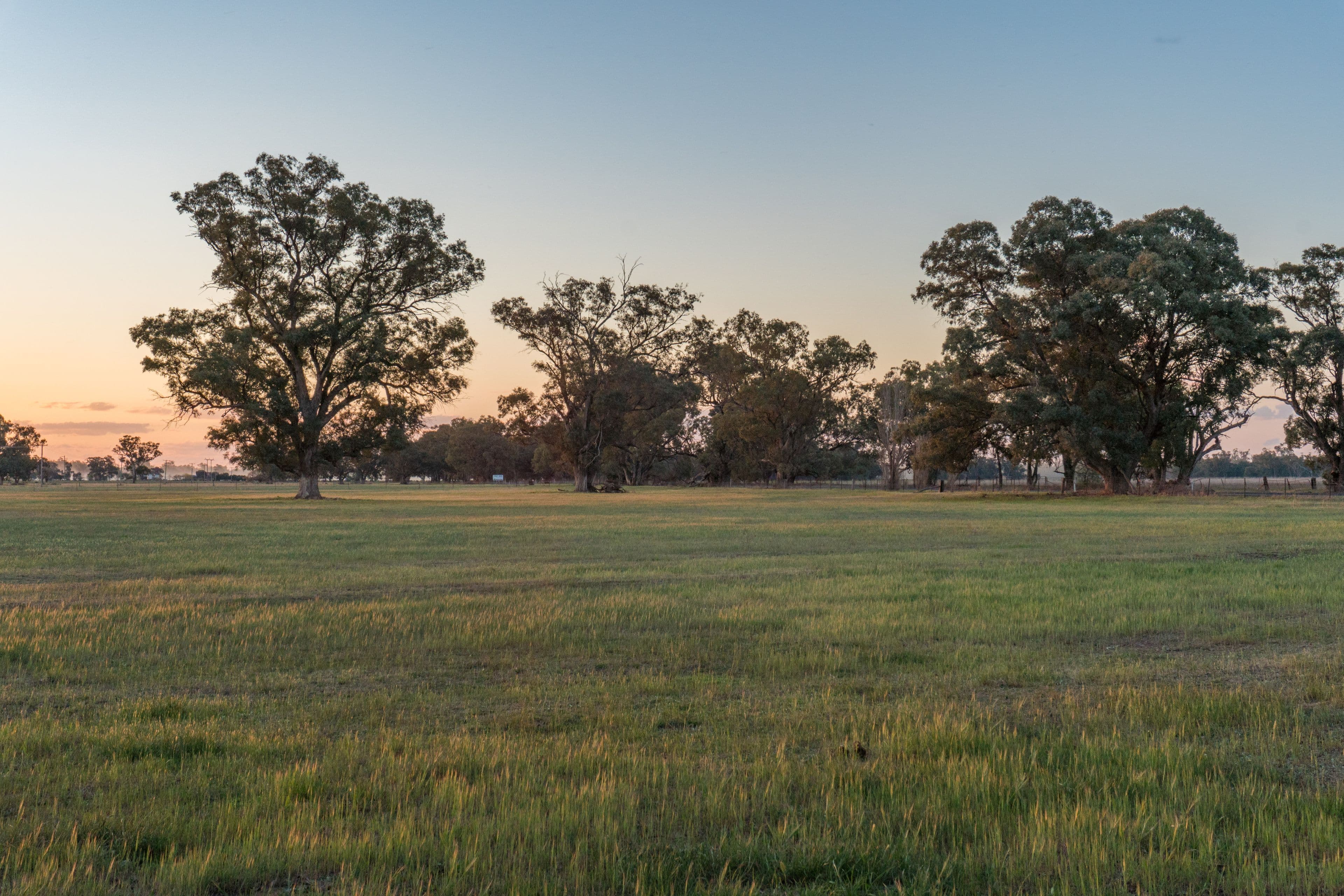 4259 Lachlan Valley Way, Gooloogong NSW 2805, Gooloogong - Thumbnail 4