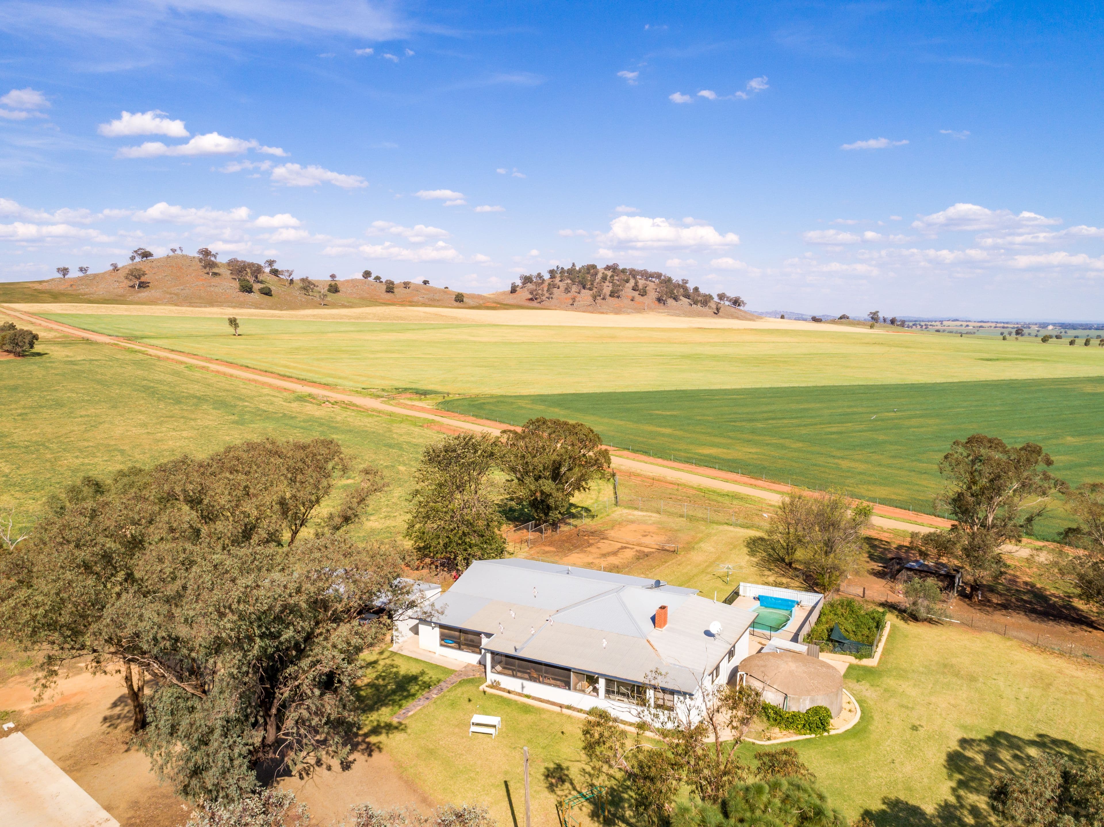 191 Troopers Road, Canowindra NSW 2804, Canowindra - Thumbnail 6