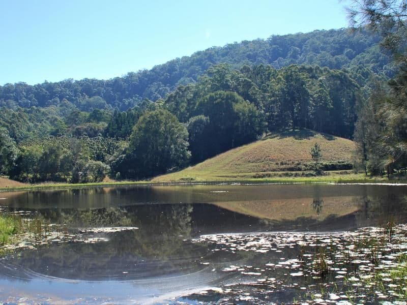 Murwillumbah NSW 2484, Murwillumbah - Thumbnail 3