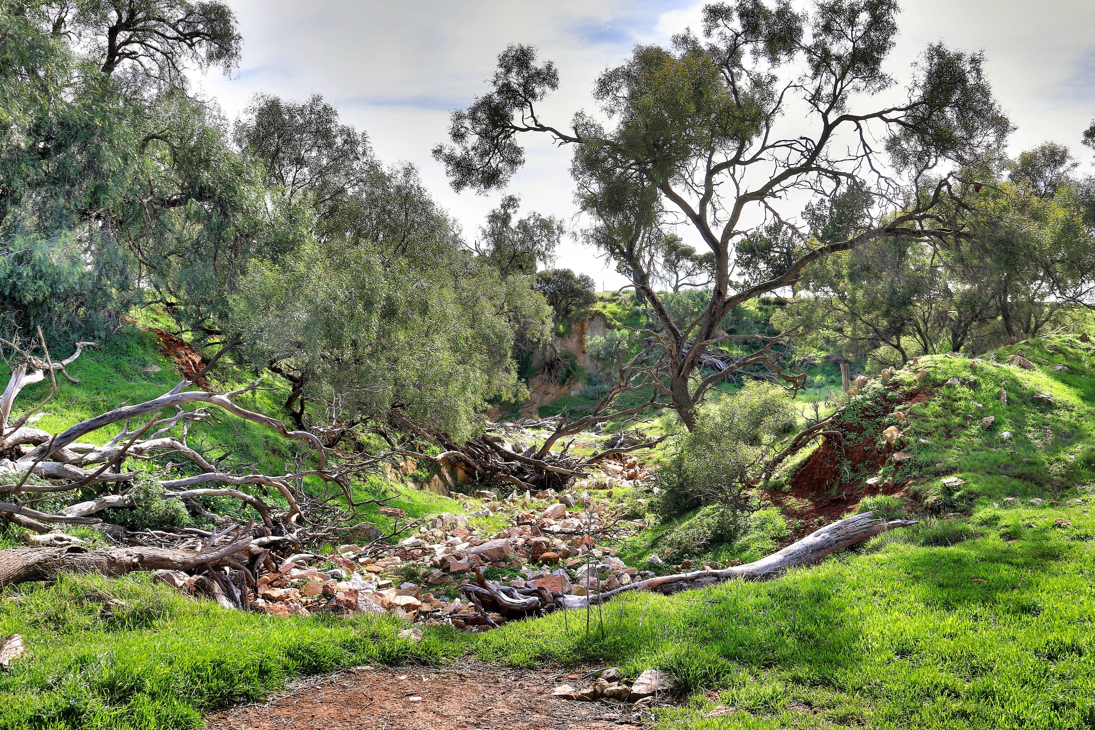 "Potters" & "Andersons" - Wilkins Highway, Gladstone SA 5473, Gladstone - Thumbnail 6