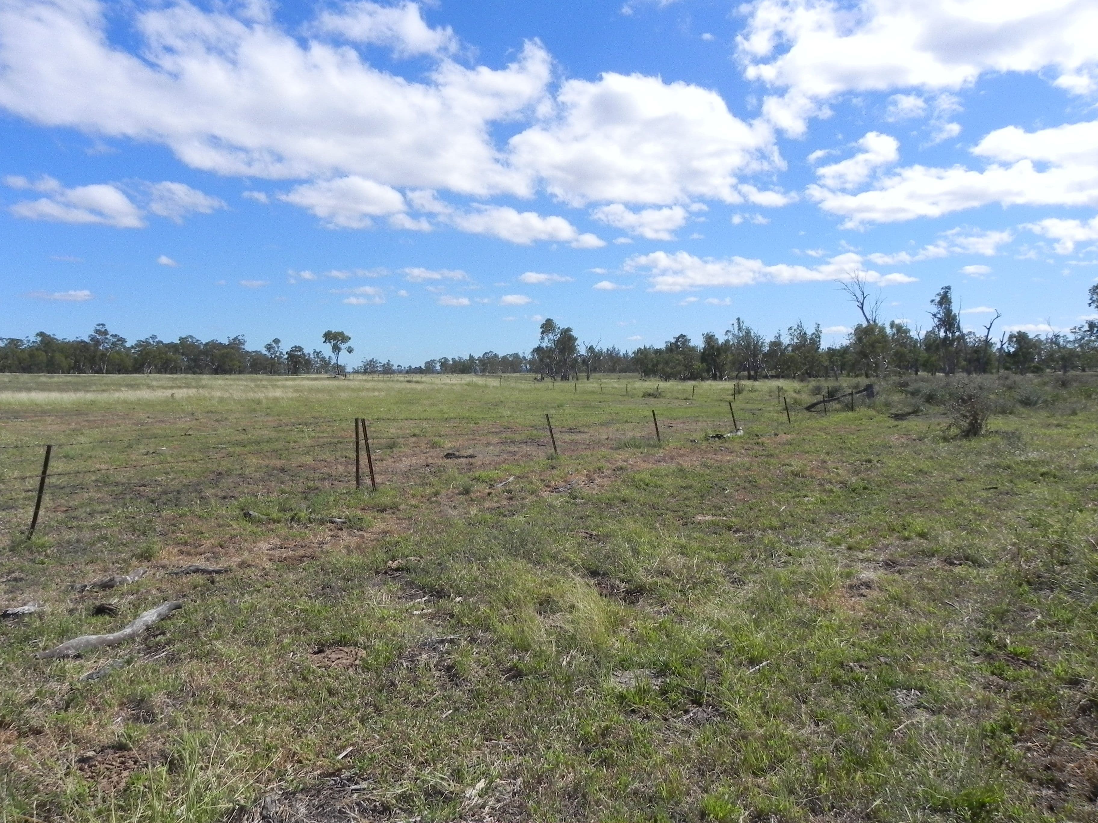 1663 Millmerran Leyburn Road, Tummaville QLD 4352, Tummaville - Thumbnail 6