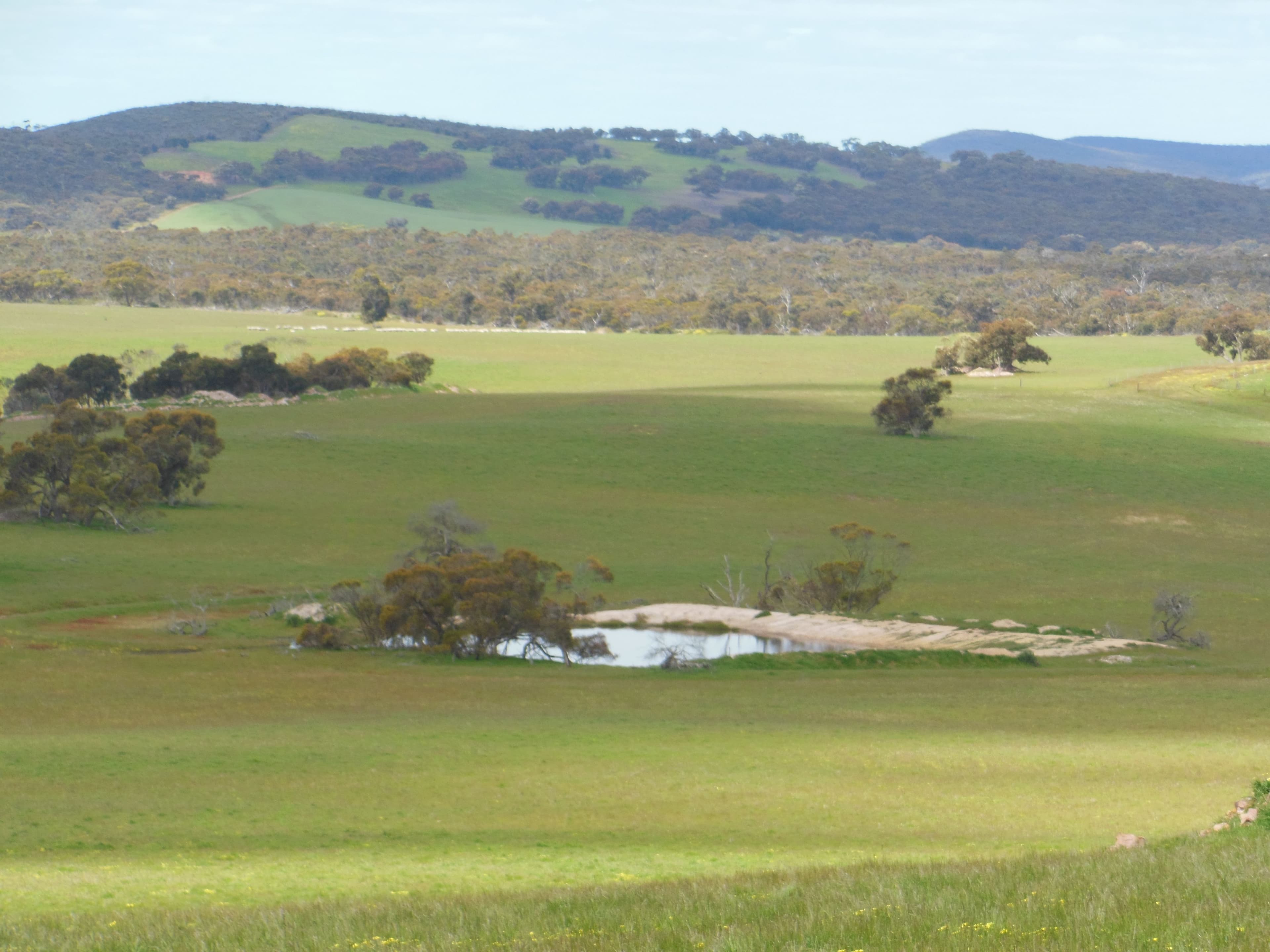 Sukey Hill, 98 Barytes Road, Cranbrook WA 6321, Cranbrook - Thumbnail 5