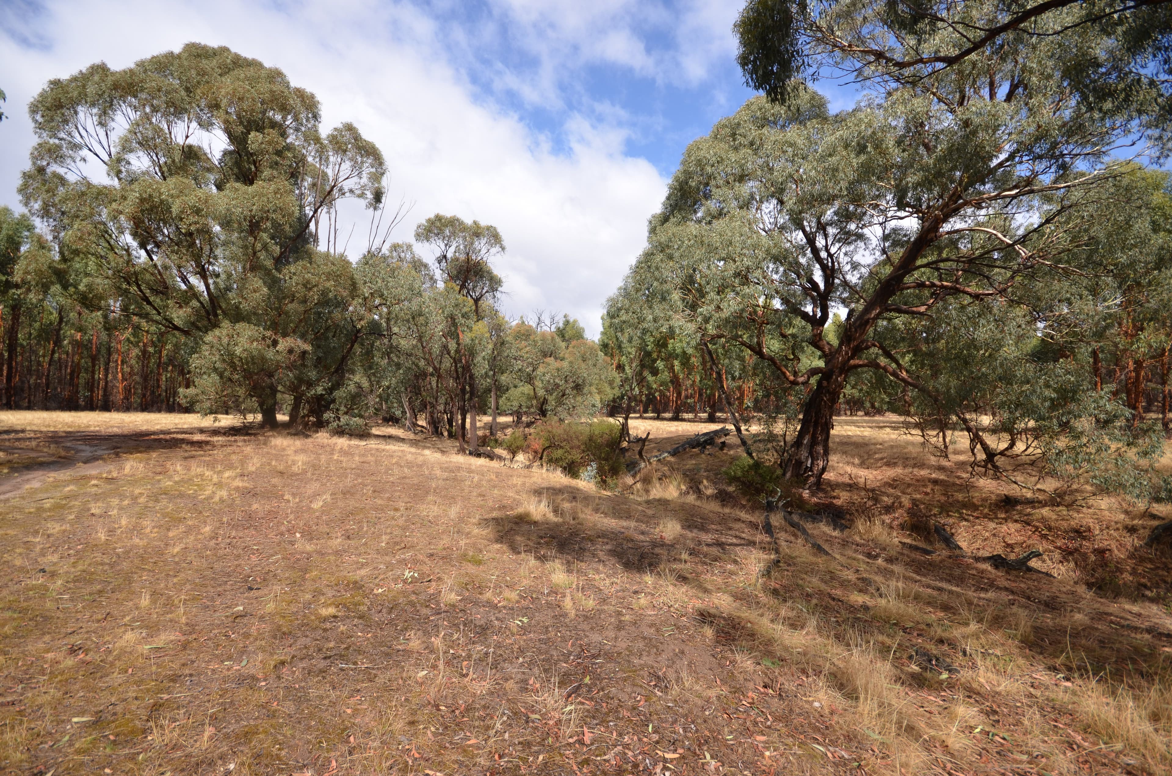 "Price" Feud Road, EVERSLEY VIC 3377, Eversley - Thumbnail 6