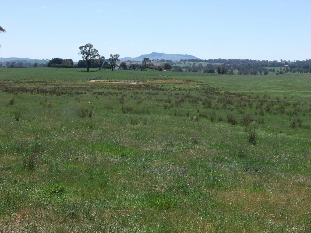 Neville NSW 2799, Neville - Thumbnail 7