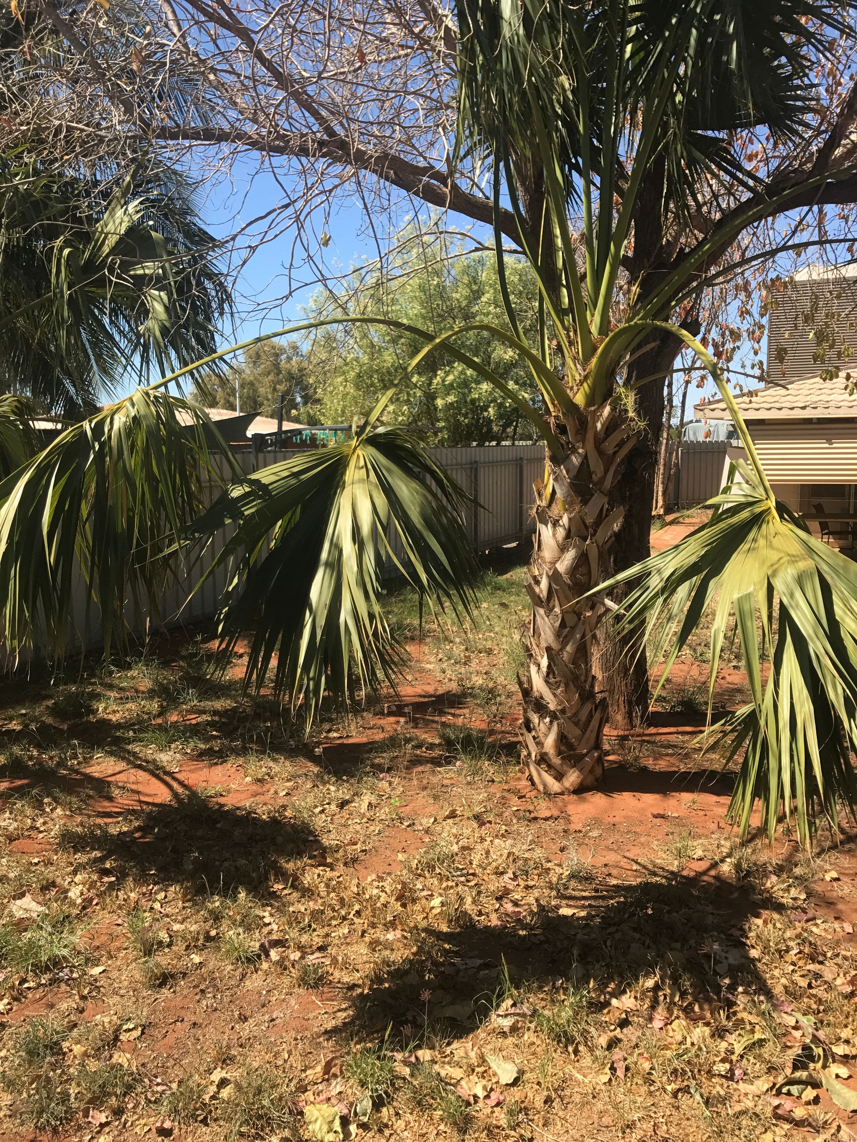 43 Acacia Way, South Hedland WA 6722, South Hedland - Thumbnail 6