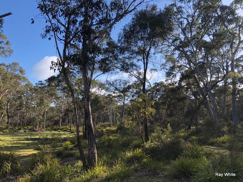 98 Kirriford Road, Nerriga NSW 2622, Nerriga - Thumbnail 3