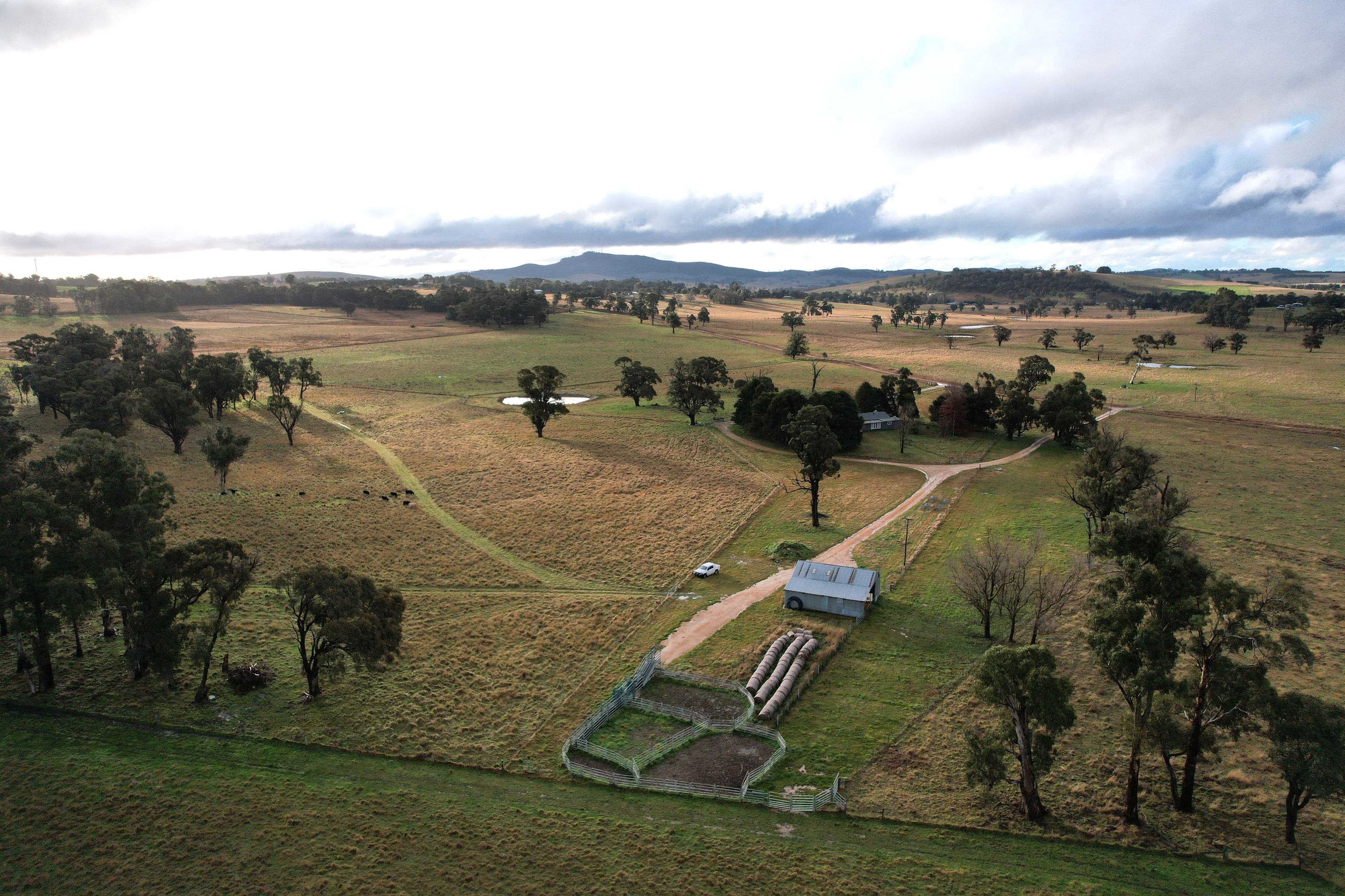 90 Sunset Hills Road, Neville NSW 2799, Neville - Image 1