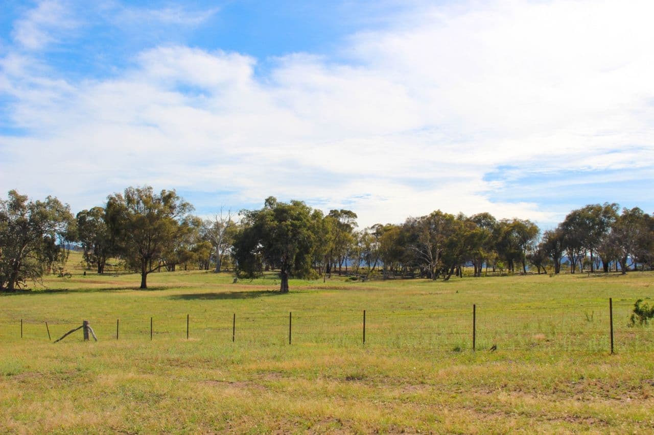 2529 Sofala Road, Bathurst NSW 2795, Bathurst - Thumbnail 4