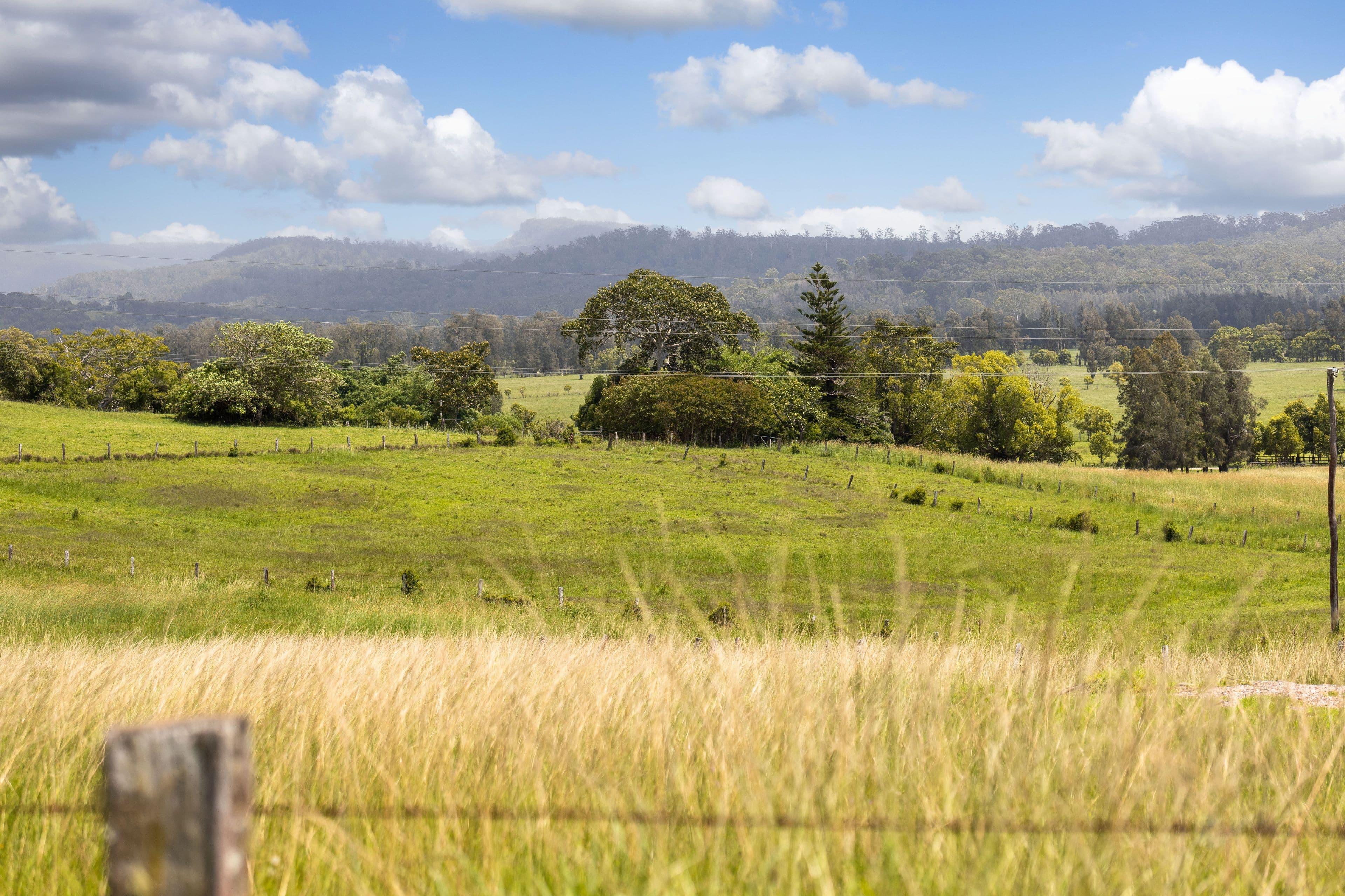 53 Macquarie Street, Coopernook NSW 2426, Coopernook - Thumbnail 7