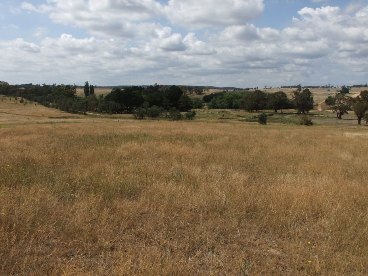 Neville NSW 2799, Neville - Thumbnail 4