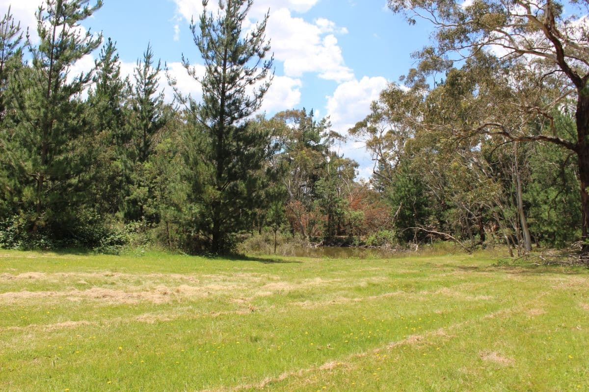MOUNT LAMBIE NSW 2790, Mount Lambie - Thumbnail 8