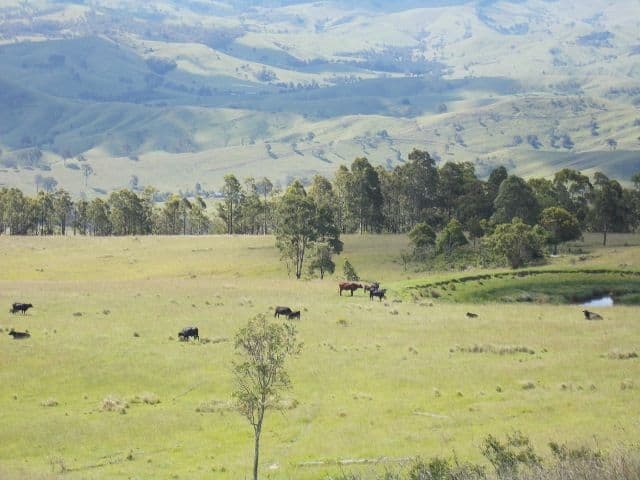 1472A Glendonbrook Road, GLENDON BROOK NSW 2330, Glendon Brook - Thumbnail 2