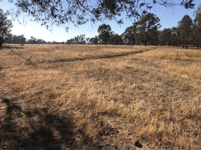 Browns Plains VIC 3685, Browns Plains - Thumbnail 4