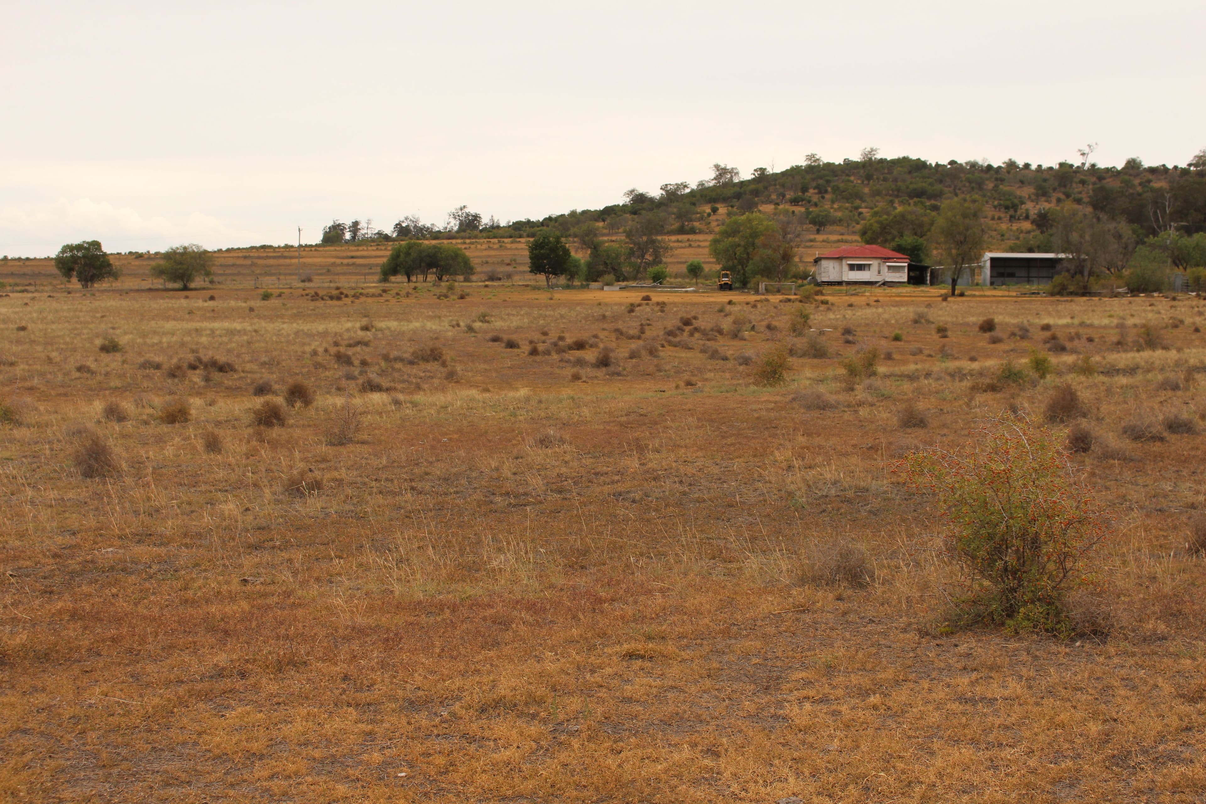 293 Heinemann Road, Scrubby Mountain, Pittsworth QLD 4356, Pittsworth - Thumbnail 2