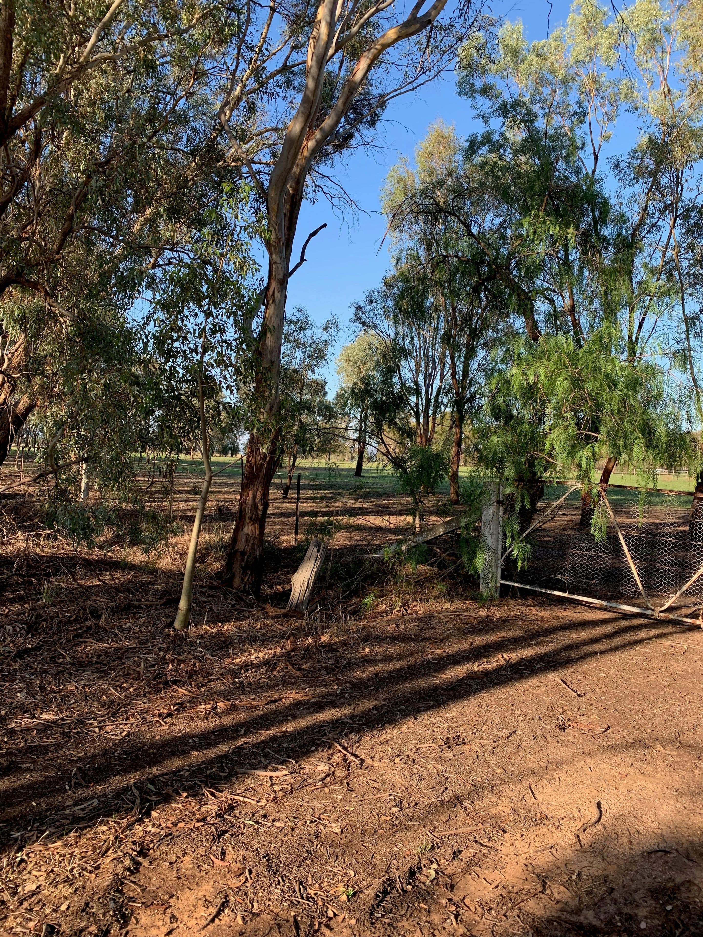 82A Thomas Street, Gerogery NSW 2642, Gerogery - Thumbnail 8