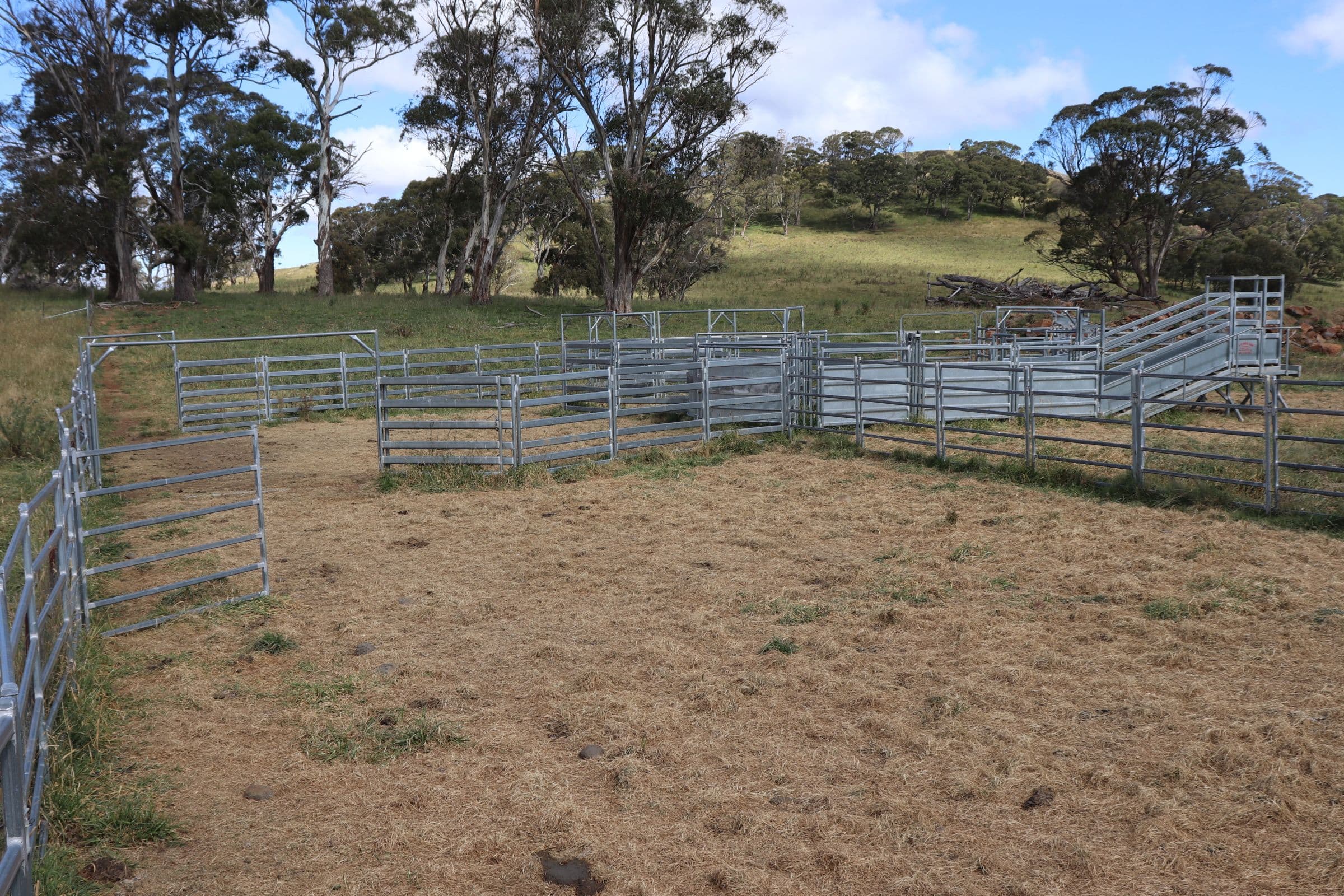 489 Inn Road, Ben Lomond NSW 2365, Ben Lomond - Thumbnail 8