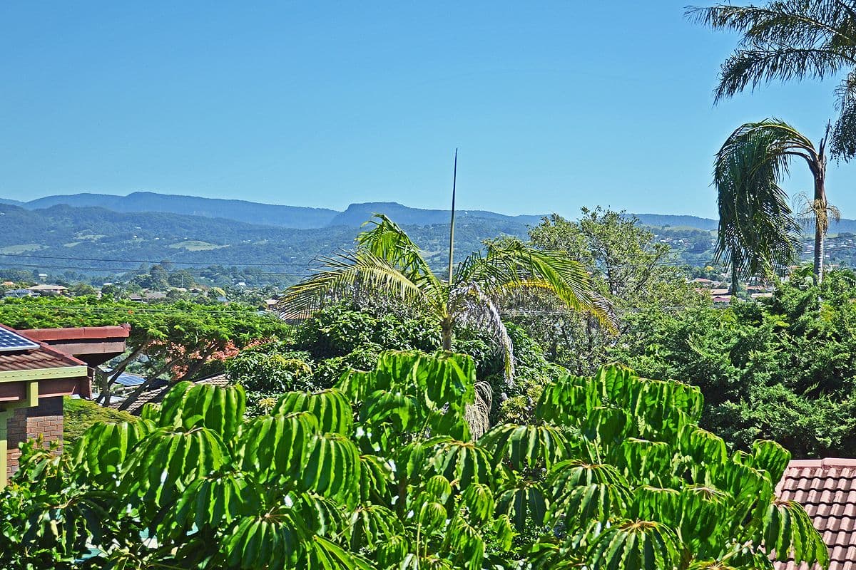 33A Terranora Road, Banora Point NSW 2486, Banora Point - Thumbnail 4