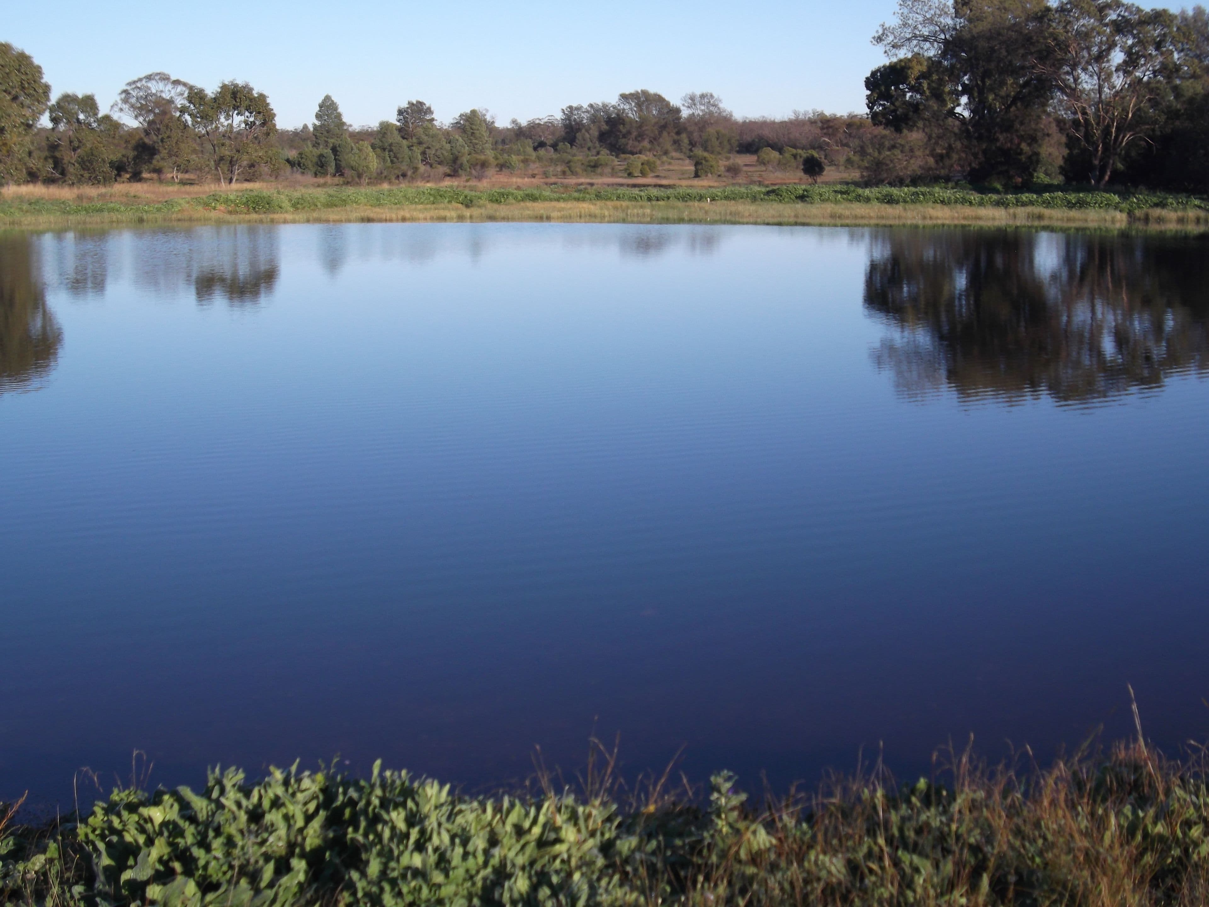 'Stansfield' 4836 The Bogan Way, Tottenham NSW 2873, Tottenham - Thumbnail 4