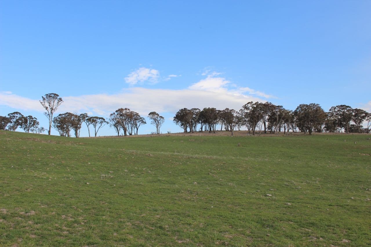 67 Pittman Drive, Browns Creek NSW 2799, Browns Creek - Thumbnail 2