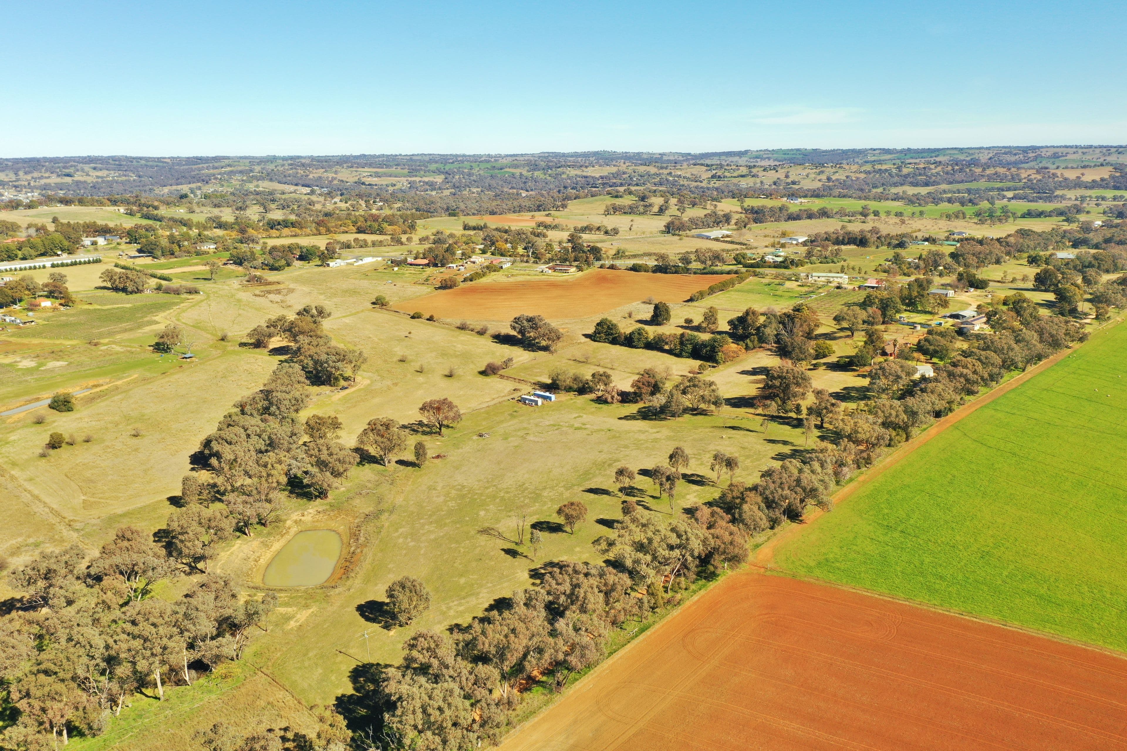 Lot 1986 Reynolds Lane, Young NSW 2594, Young - Thumbnail 4