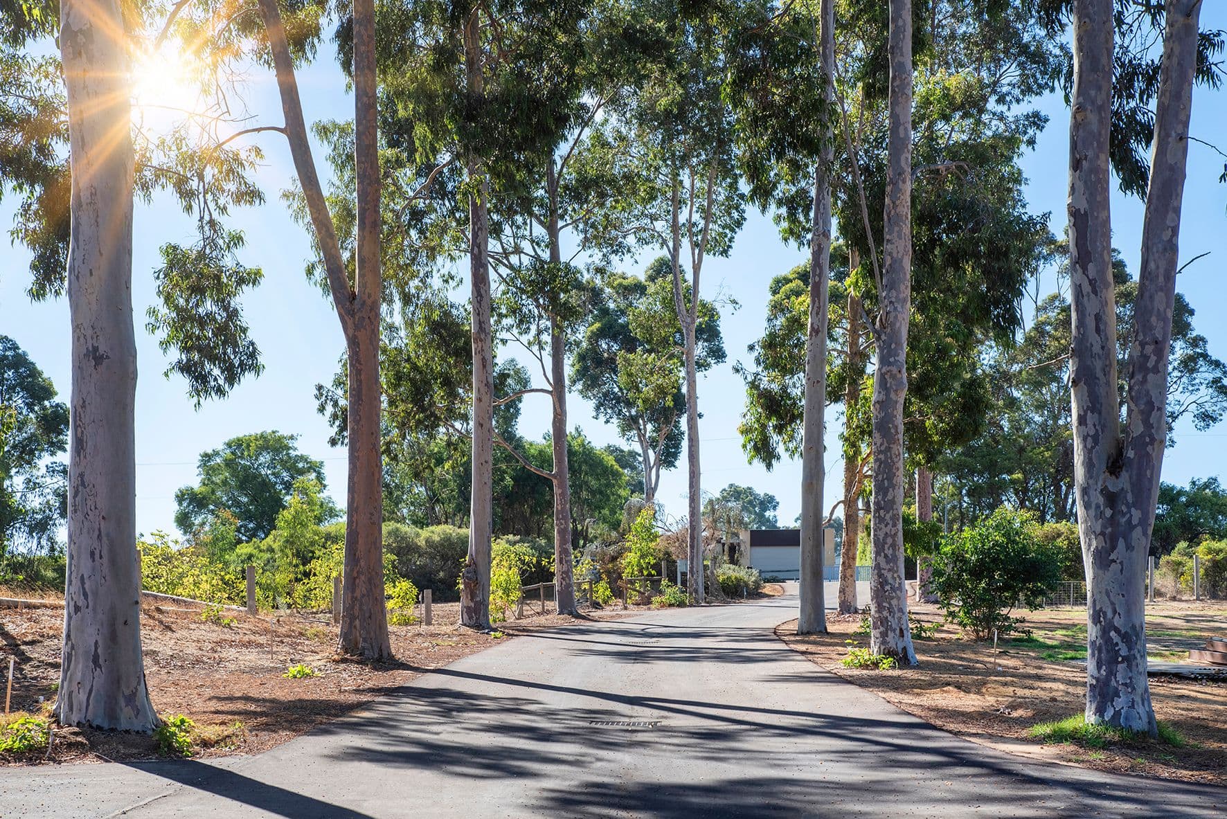 PL 401, 114 Ashton Street, Margaret River WA 6285, Margaret River - Thumbnail 8