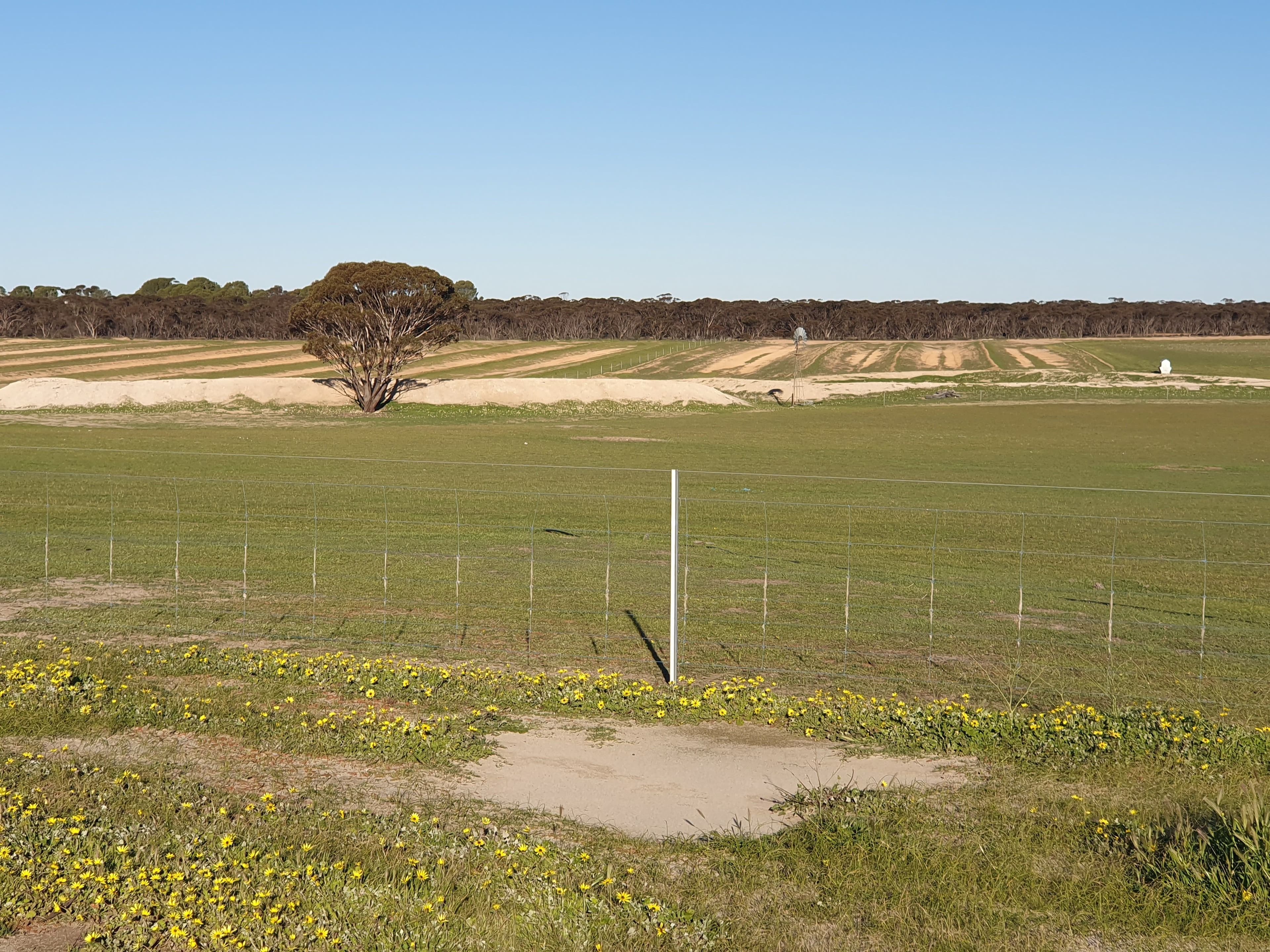 2405 North Needilup Road, Pingrup WA 6343, Pingrup - Thumbnail 5