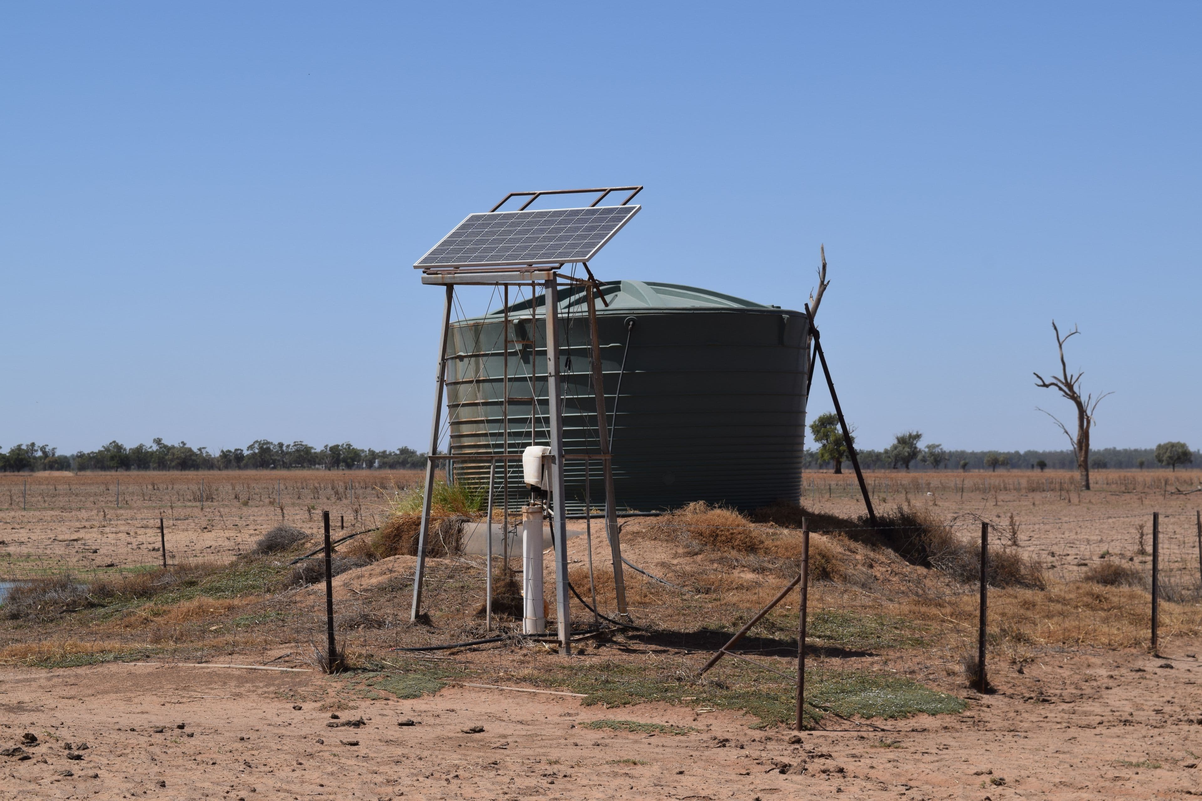 Part Gloming Bedgerebong Road, Forbes NSW 2871, Forbes - Thumbnail 6