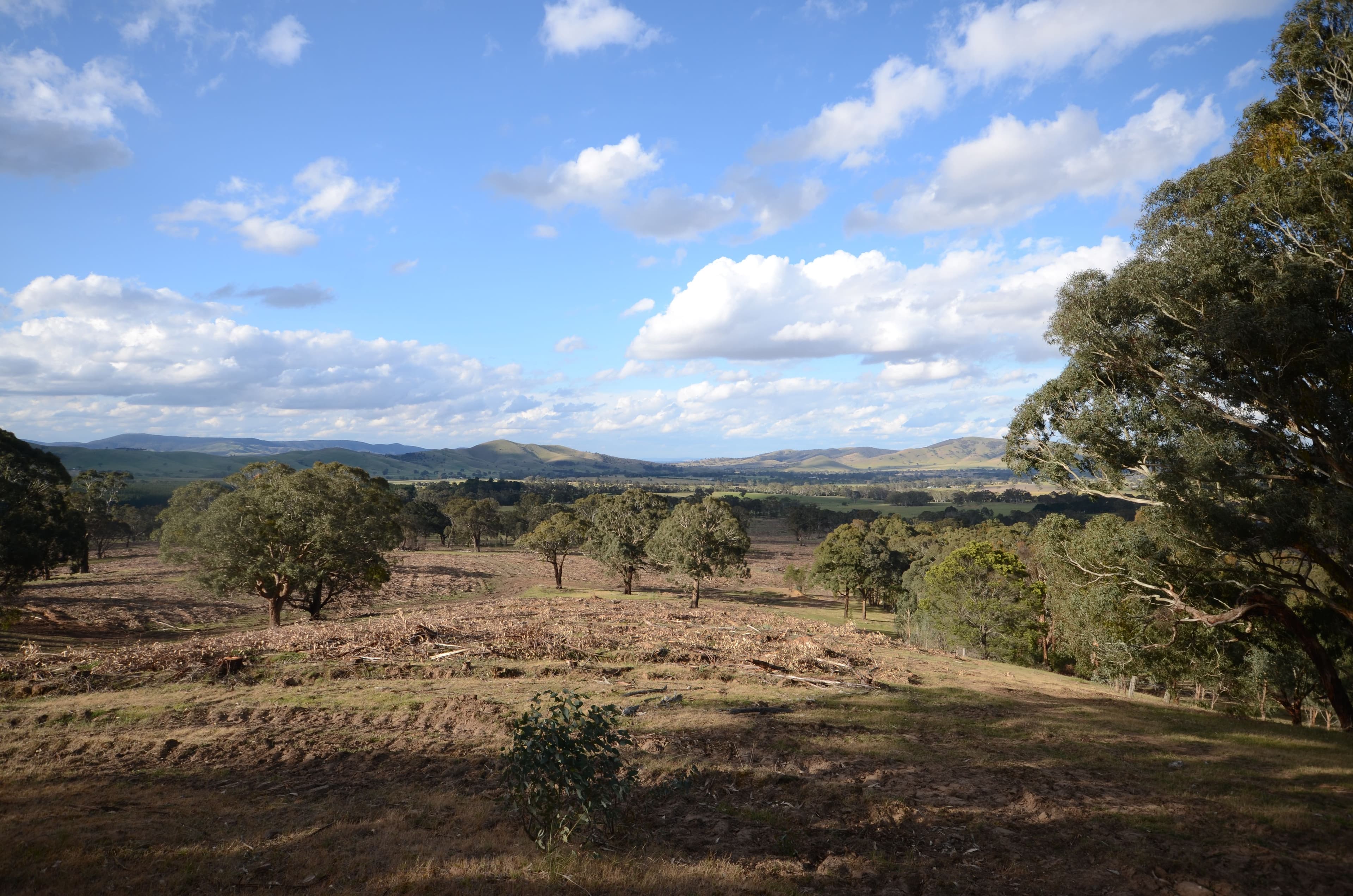 Lot 1 "Cocking C" Mount Lonarch Road, Mount Lonarch VIC 3468, Mount Lonarch - Image 1