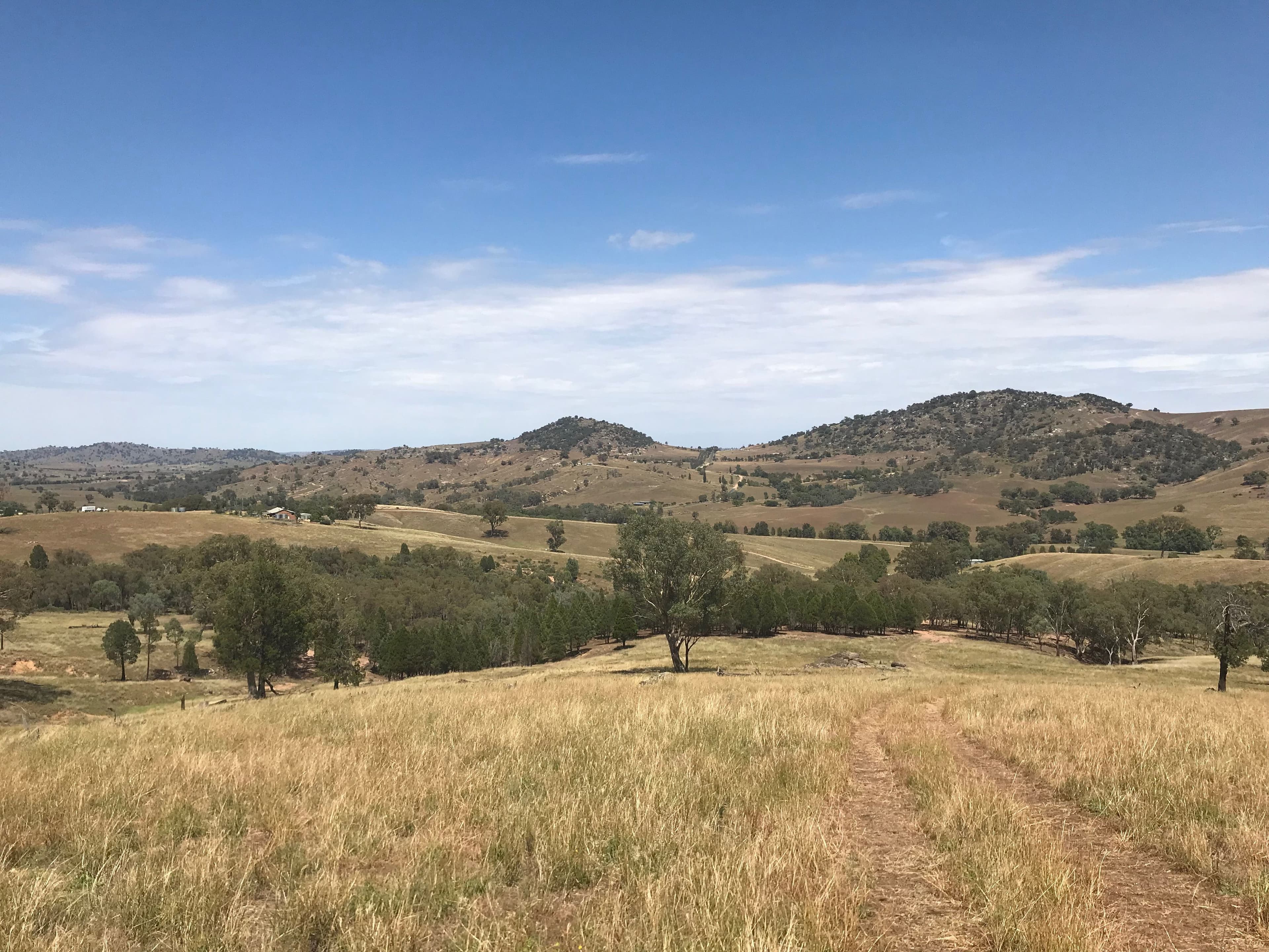  1 Mount McDonald Road, Cowra NSW 2794, Cowra - Image 1