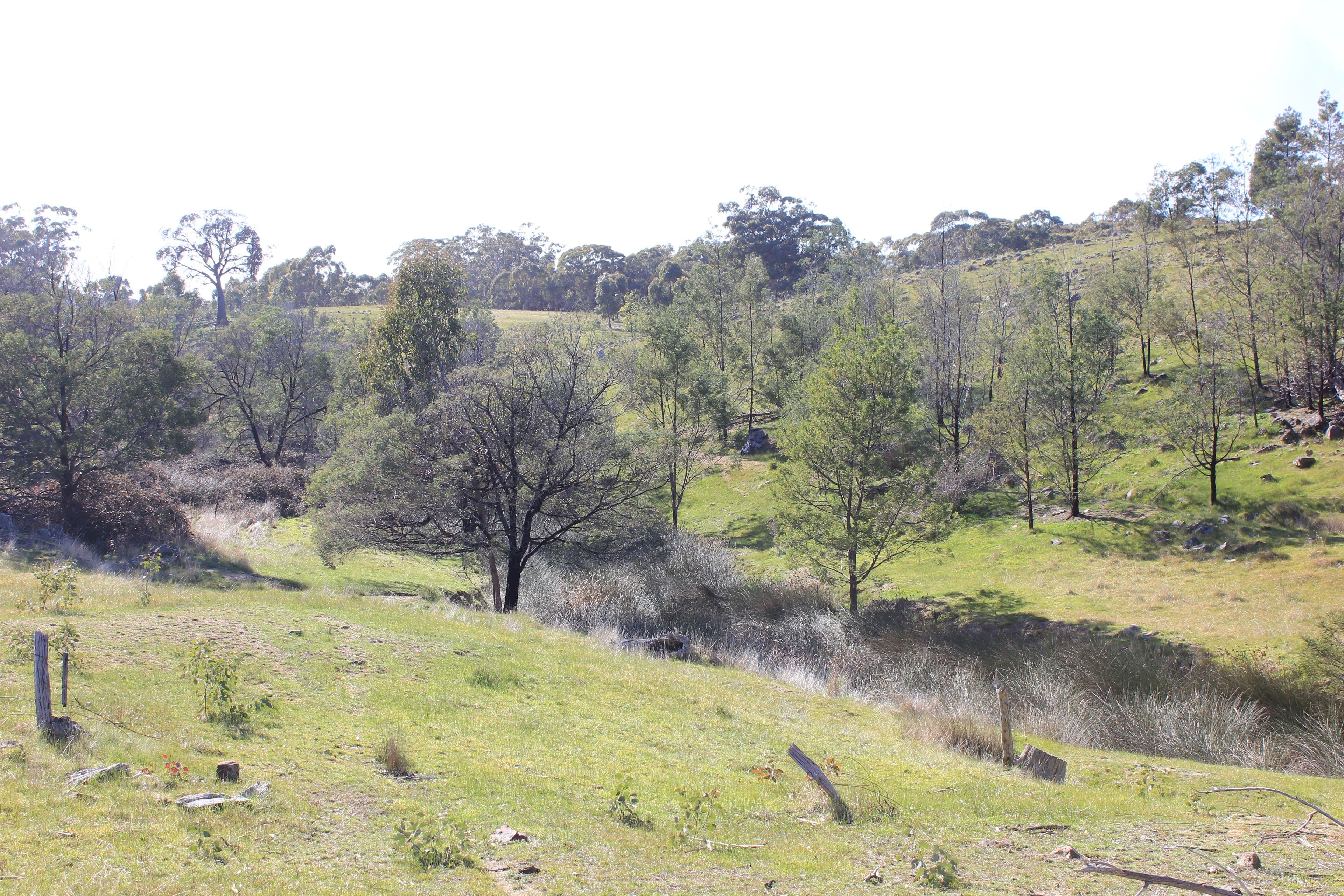 Tooborac VIC 3522, Tooborac - Thumbnail 3