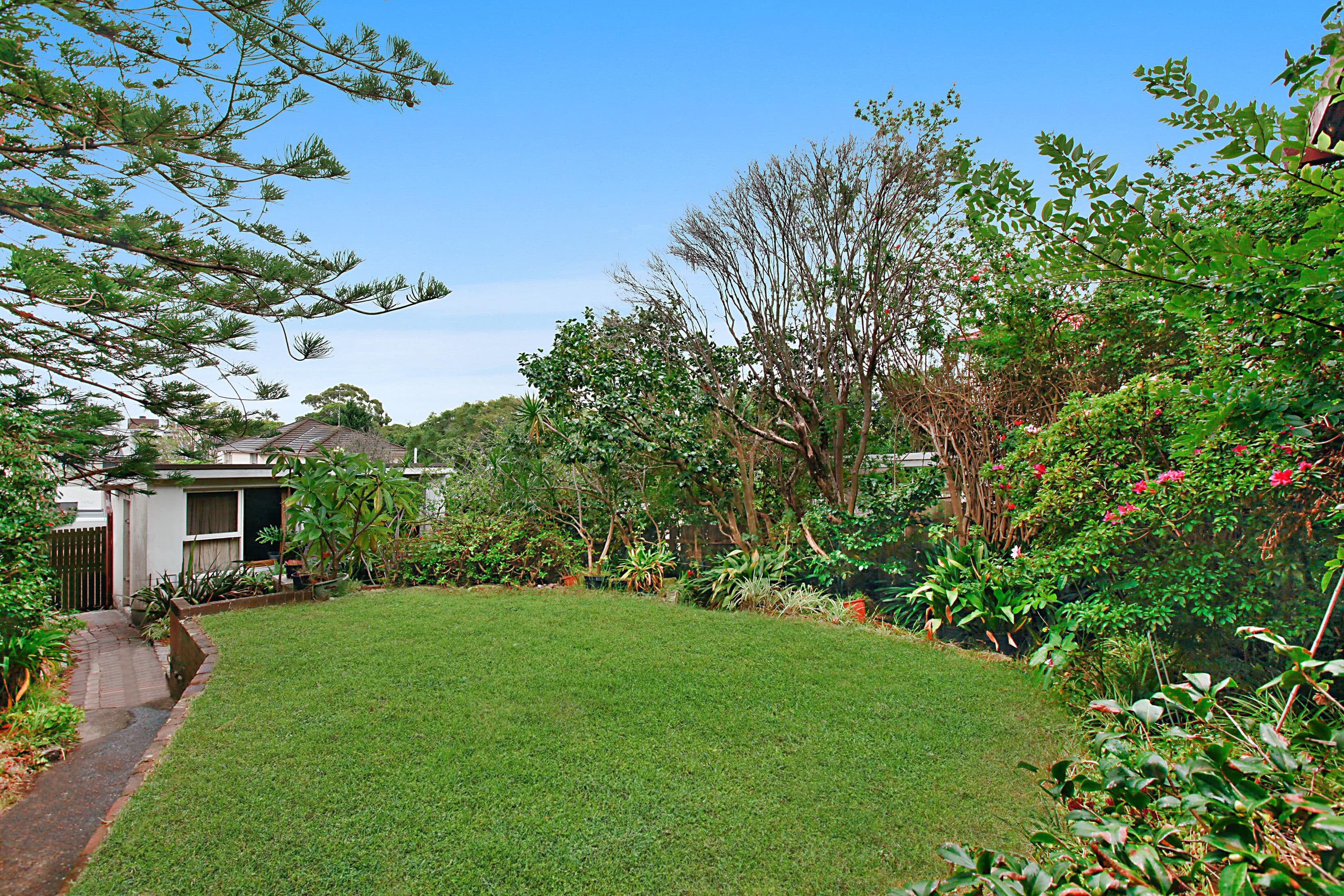 18 Rosslyn Street, Bellevue Hill - Thumbnail 4