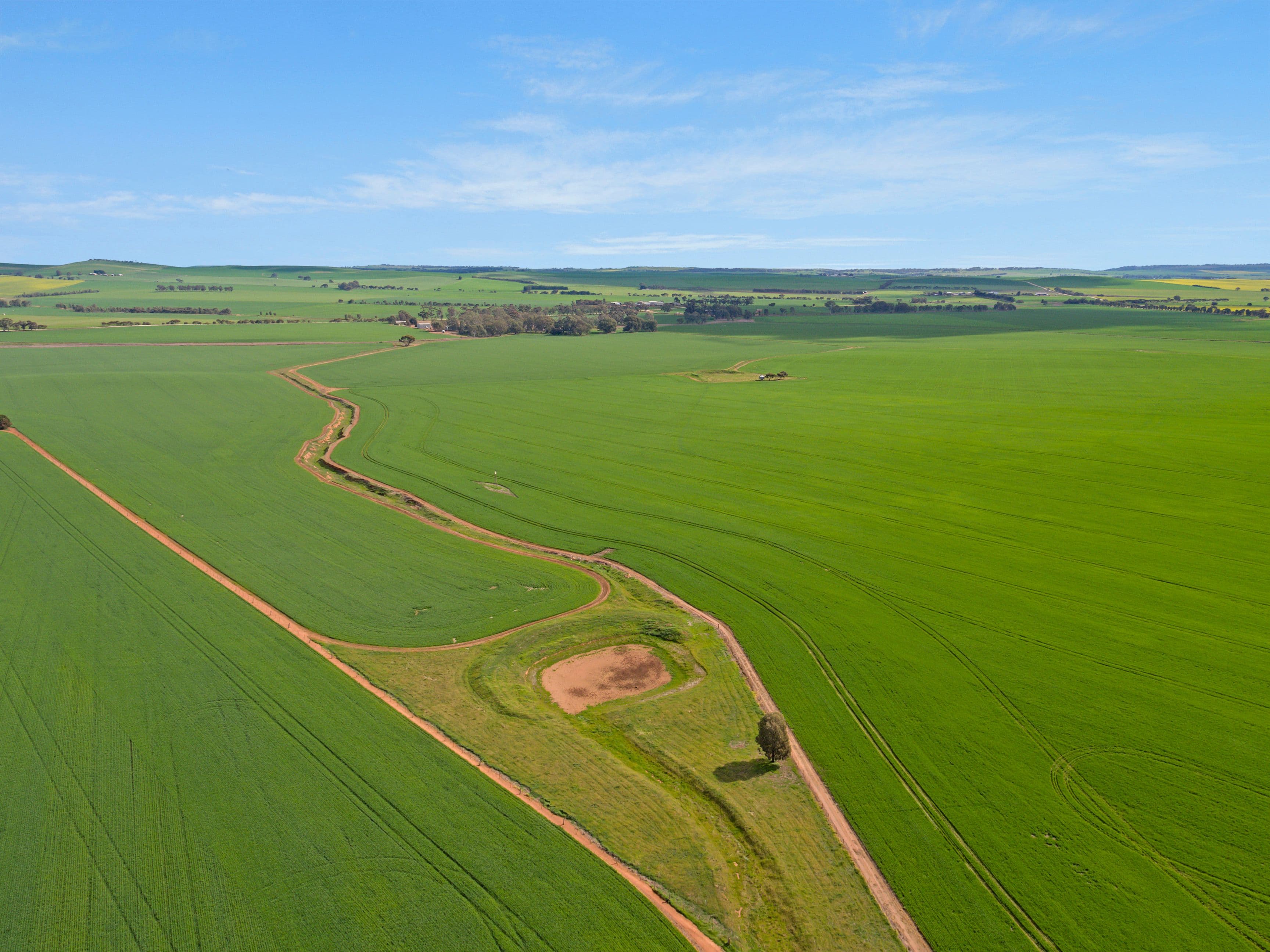 'Woodlands Brae' 390 Hilltown Road, Hill River SA 5453, Hill River - Thumbnail 4