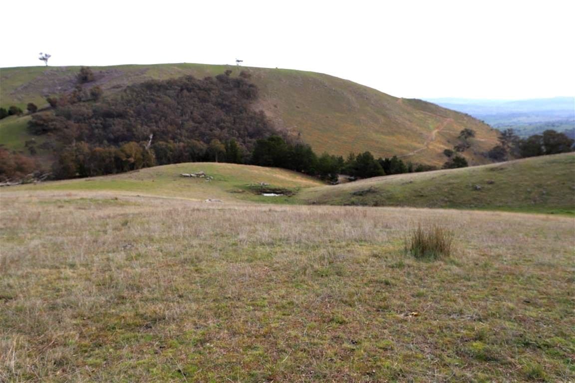 837 Argalong Road, Argalong NSW 2720, Argalong - Thumbnail 3