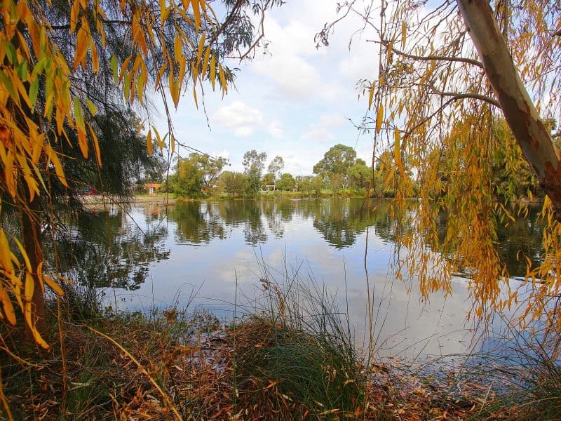 1/2 Wallace Street, Belmont WA 6104, Belmont - Thumbnail 3