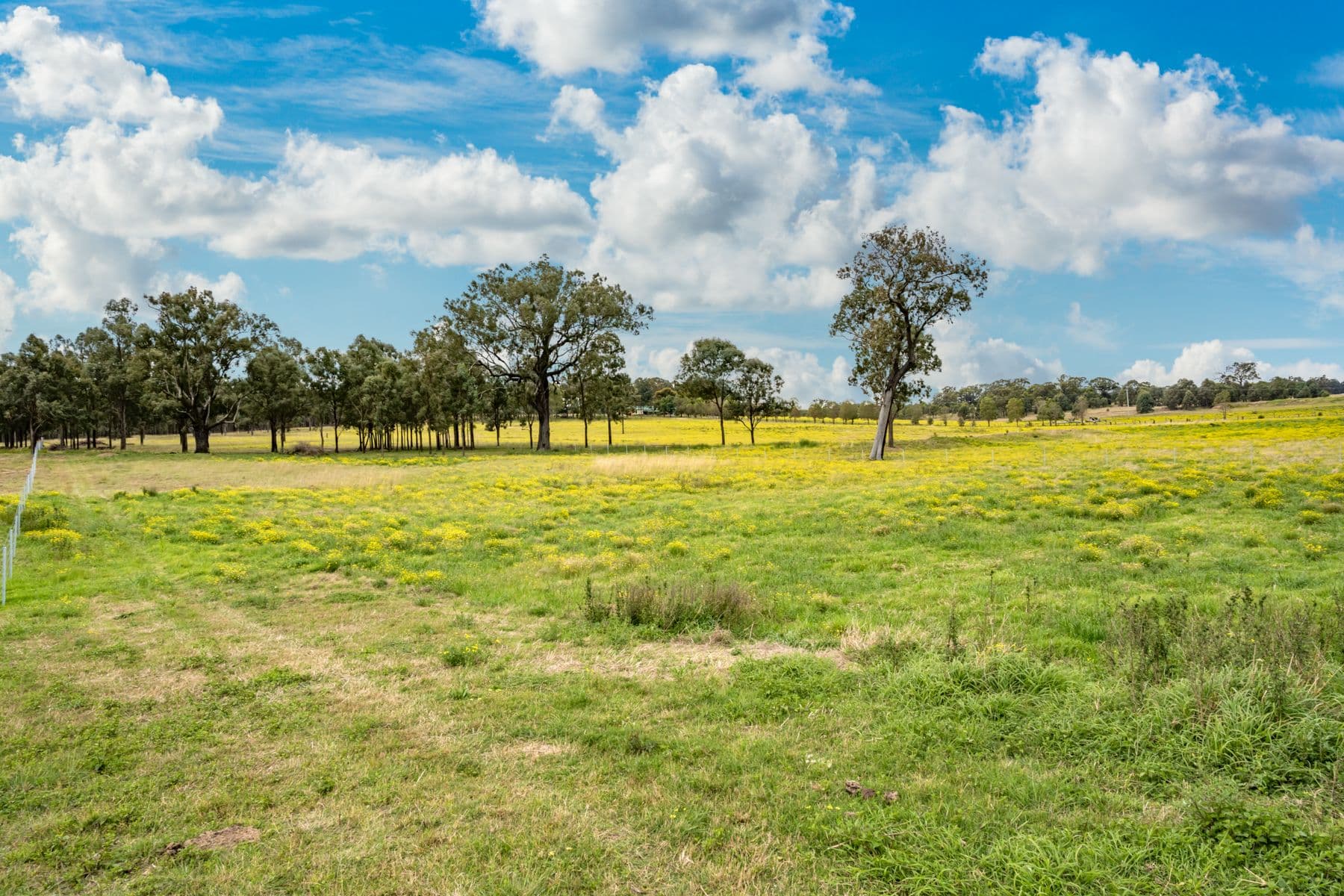 Lot 11 Glendon Road, Singleton NSW 2330, Singleton - Image 1