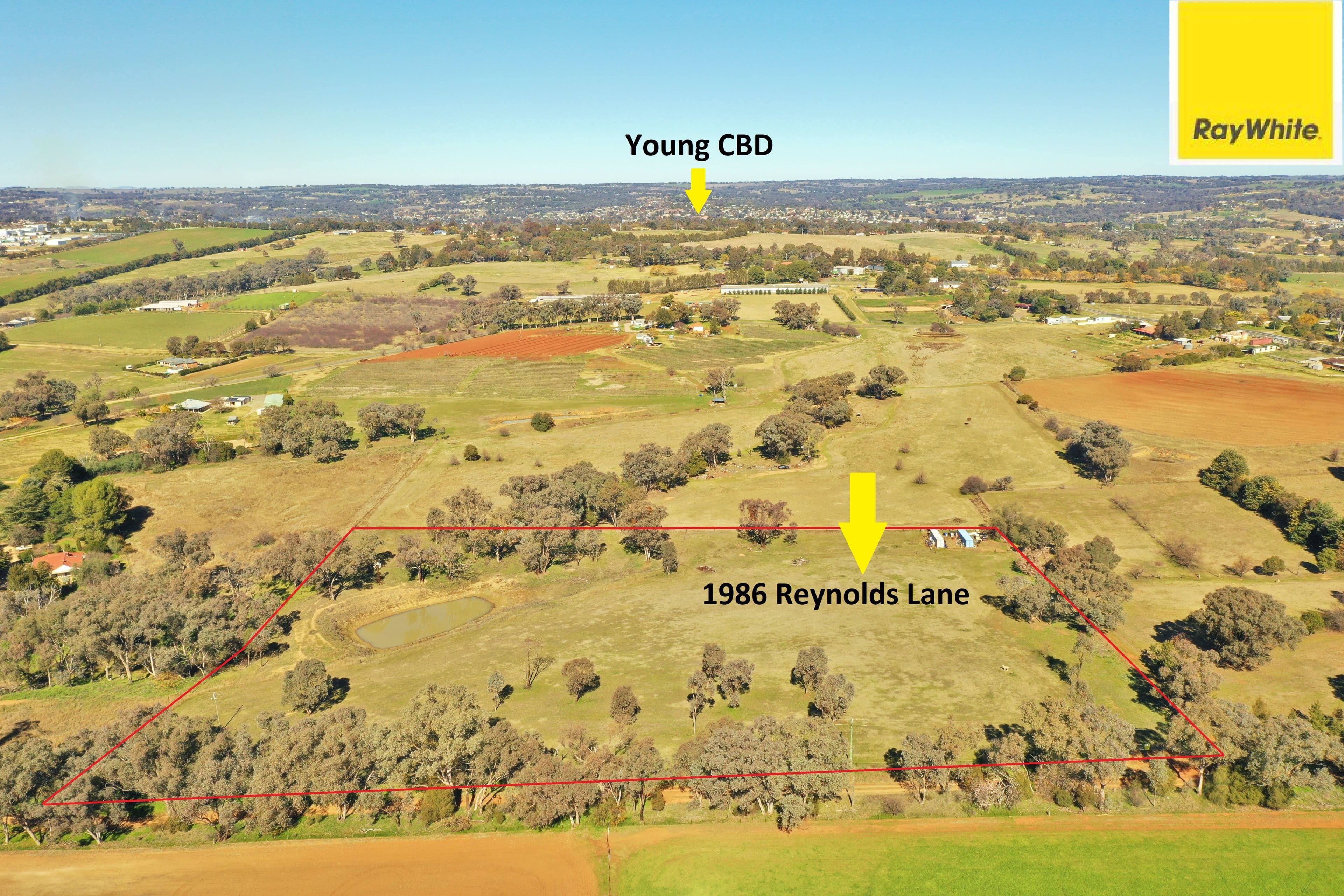 Lot 1986 Reynolds Lane, Young NSW 2594, Young - Image 1