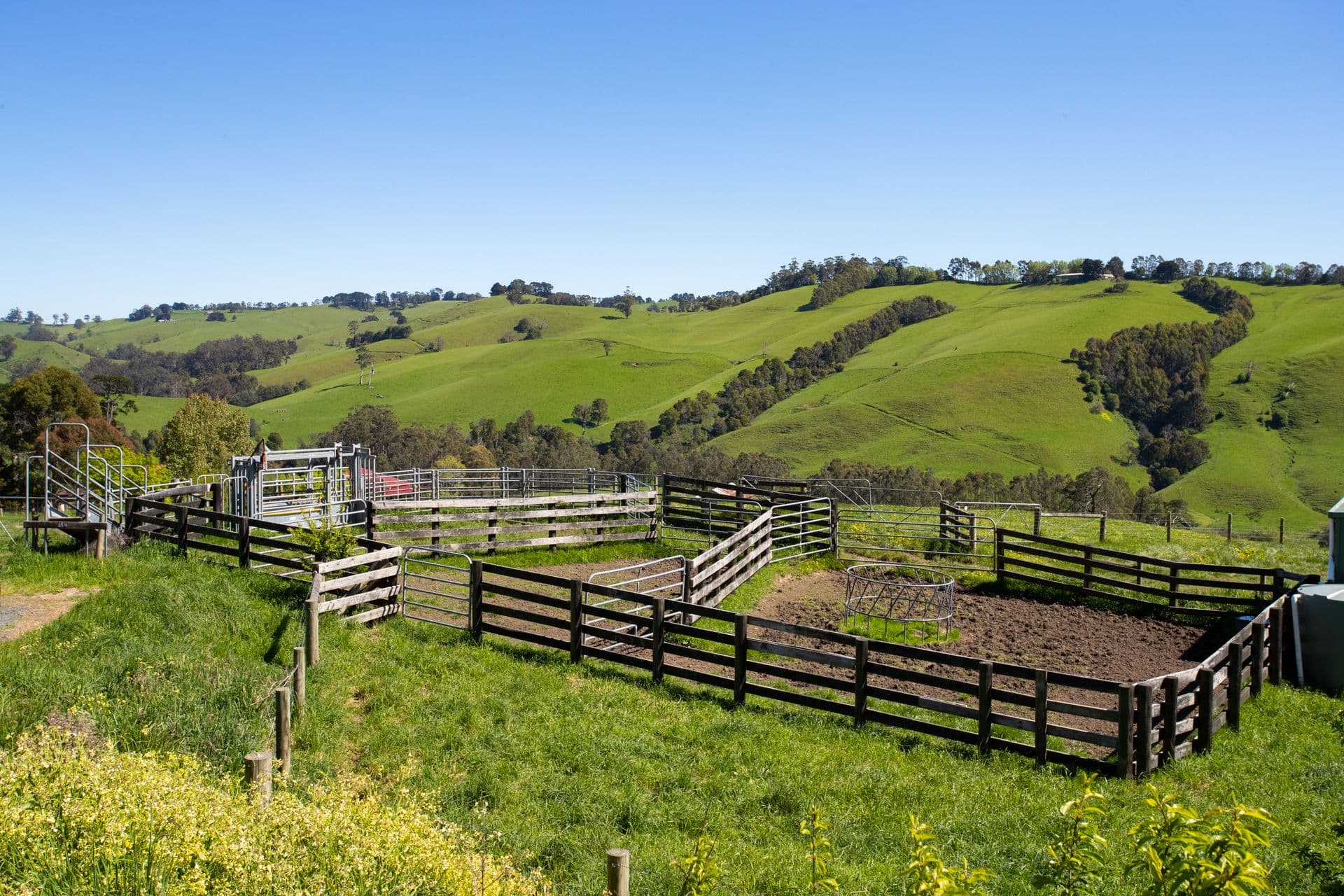 156 Fitzgeralds Road, Arawata VIC 3951, Arawata - Thumbnail 8