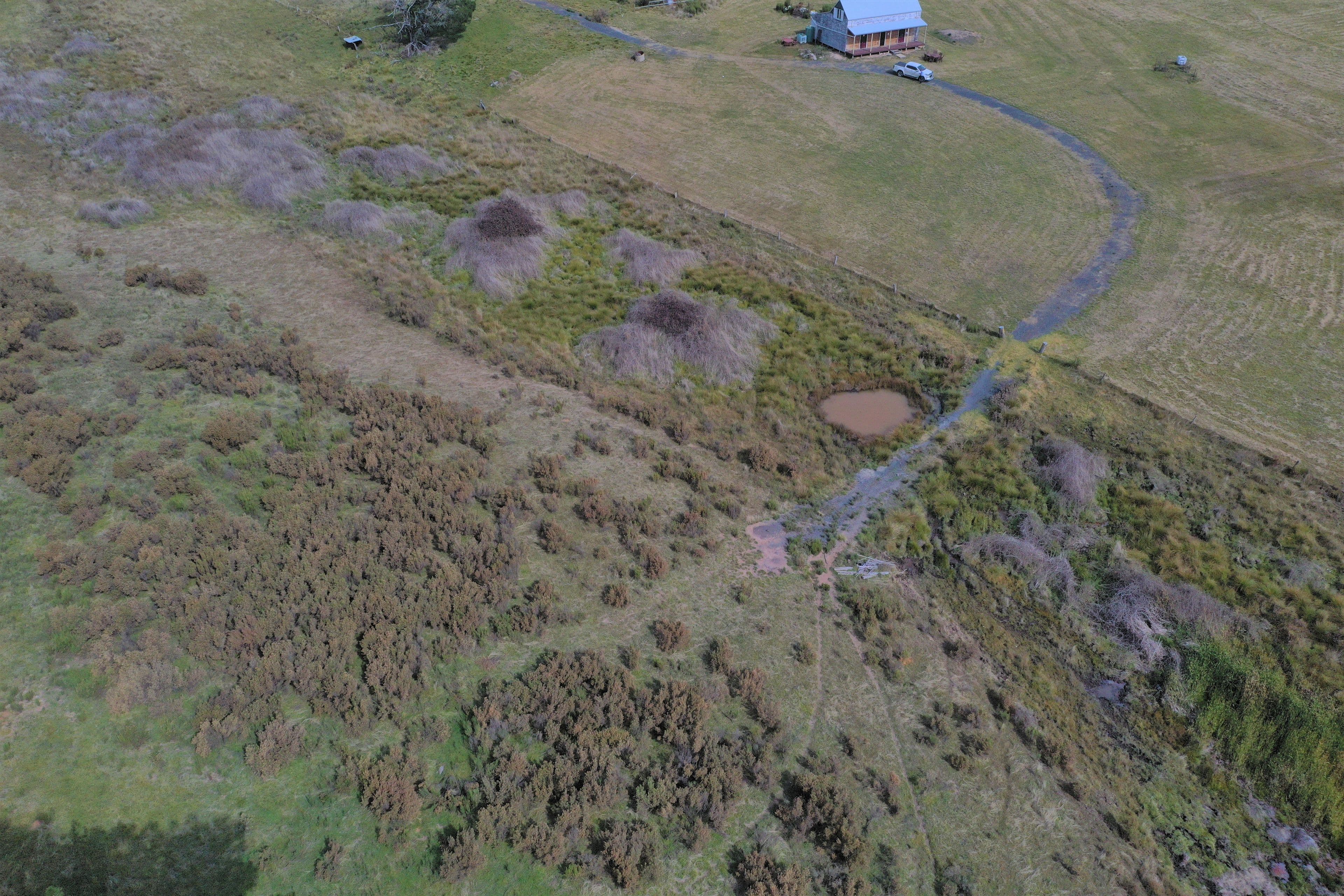 370 Millsvale Road, Crookwell NSW 2583, Crookwell - Thumbnail 7