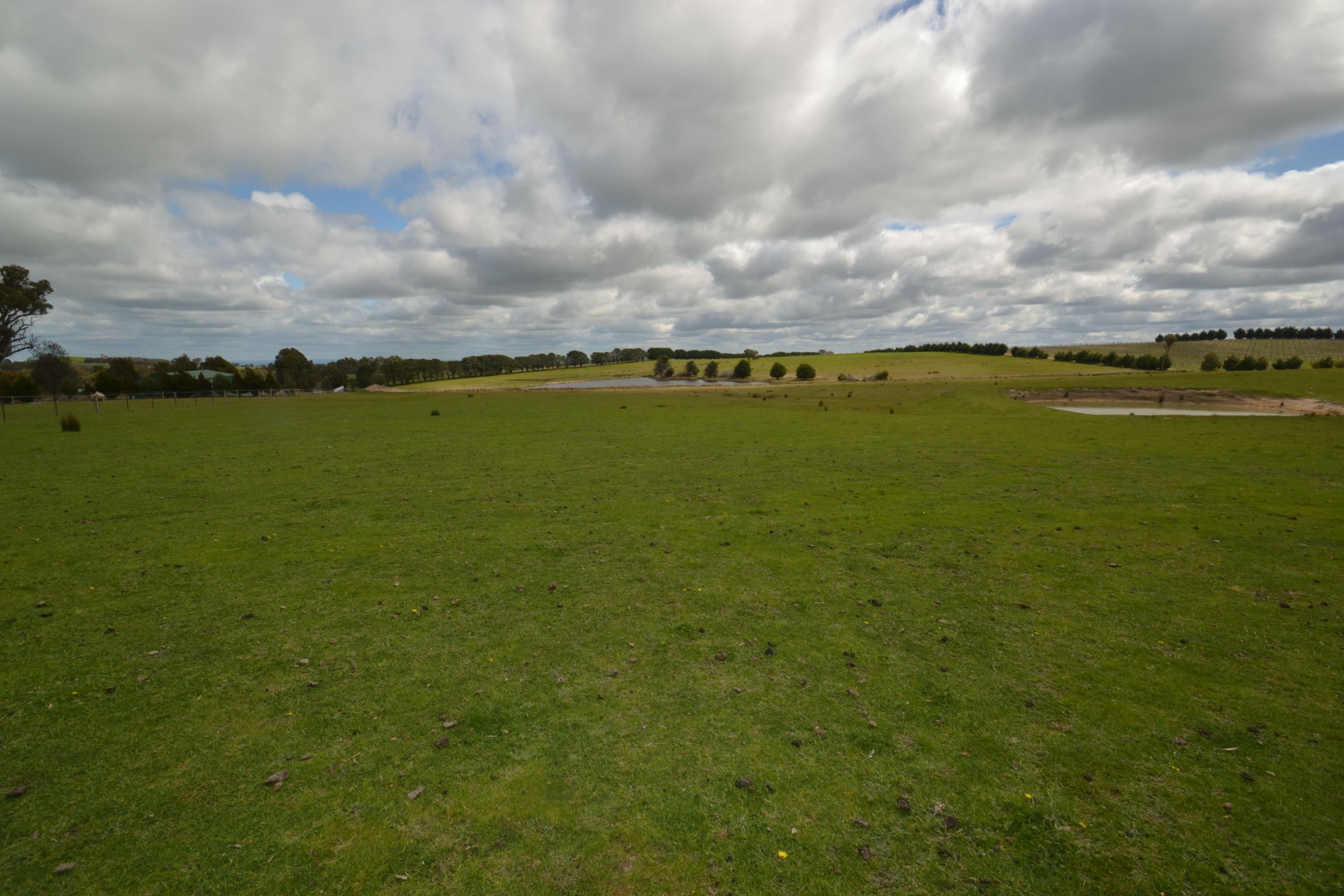 1549 Upton Road, Avenel VIC 3664, Avenel - Thumbnail 4