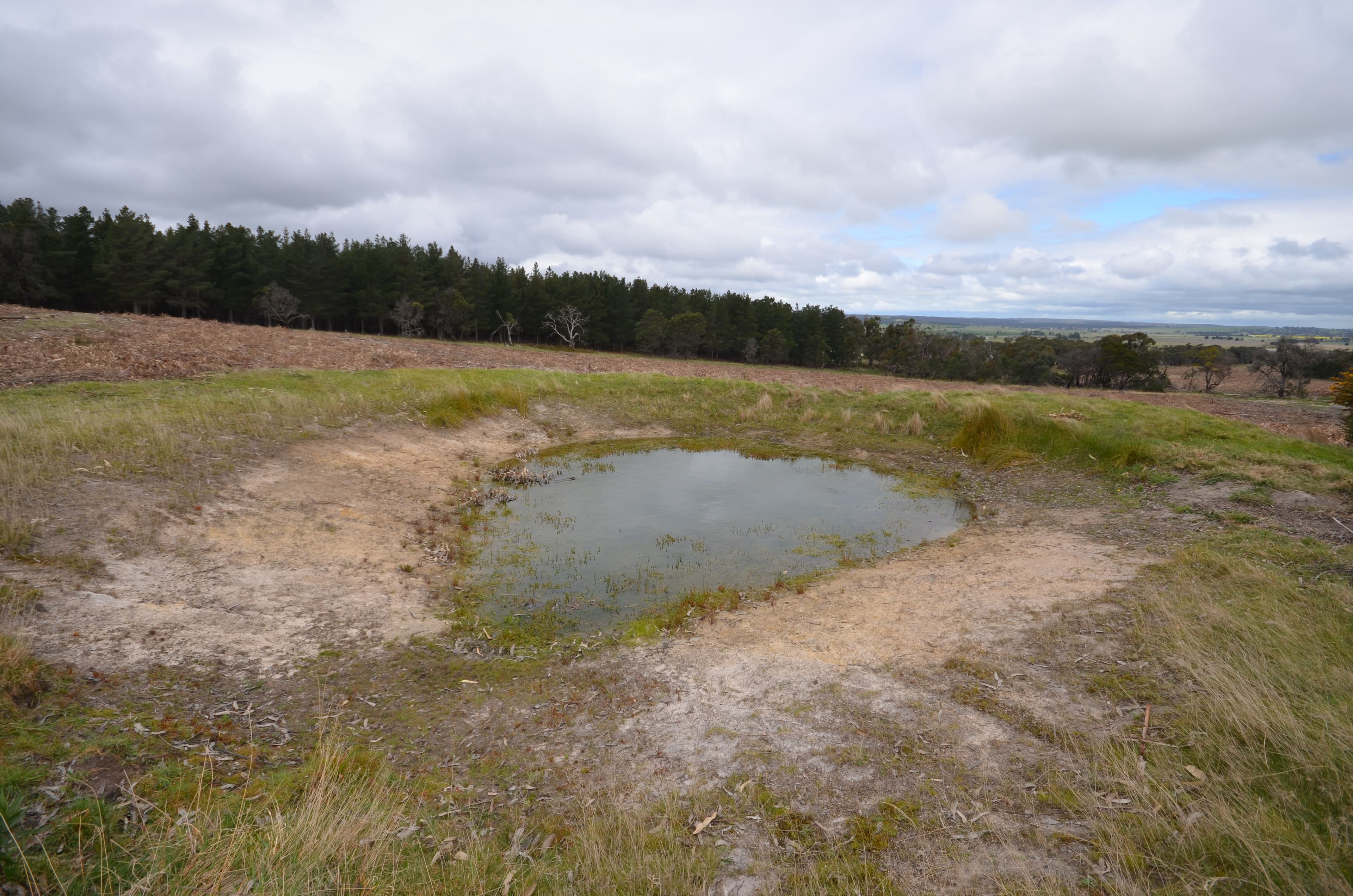 'Tiley' Tip Road, RAGLAN VIC 3373, Raglan - Thumbnail 6